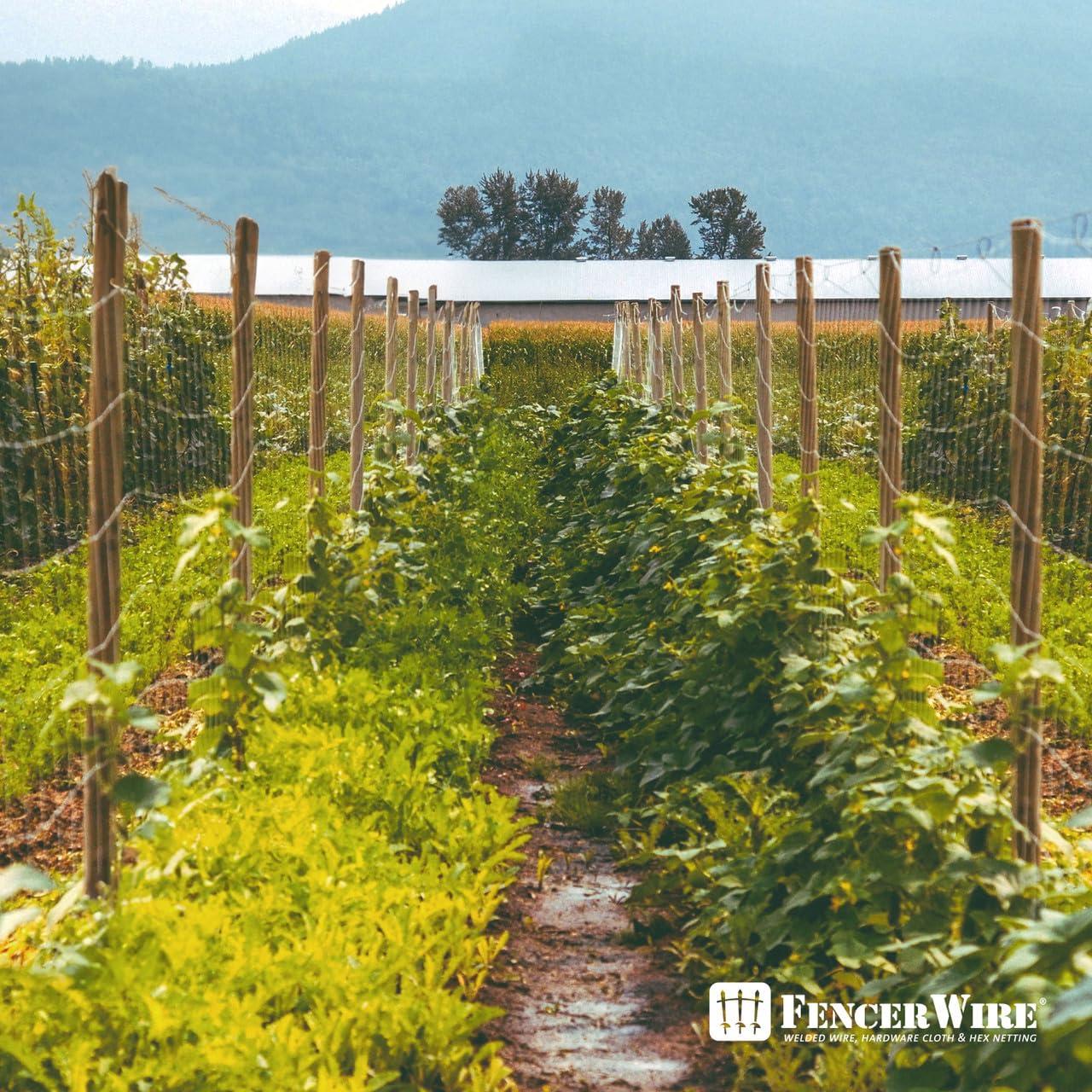 Fencer Wire Fencer Wire 12.5 Gauge Galvanized Welded Fence Wire Roll with Mesh , Multiple Options