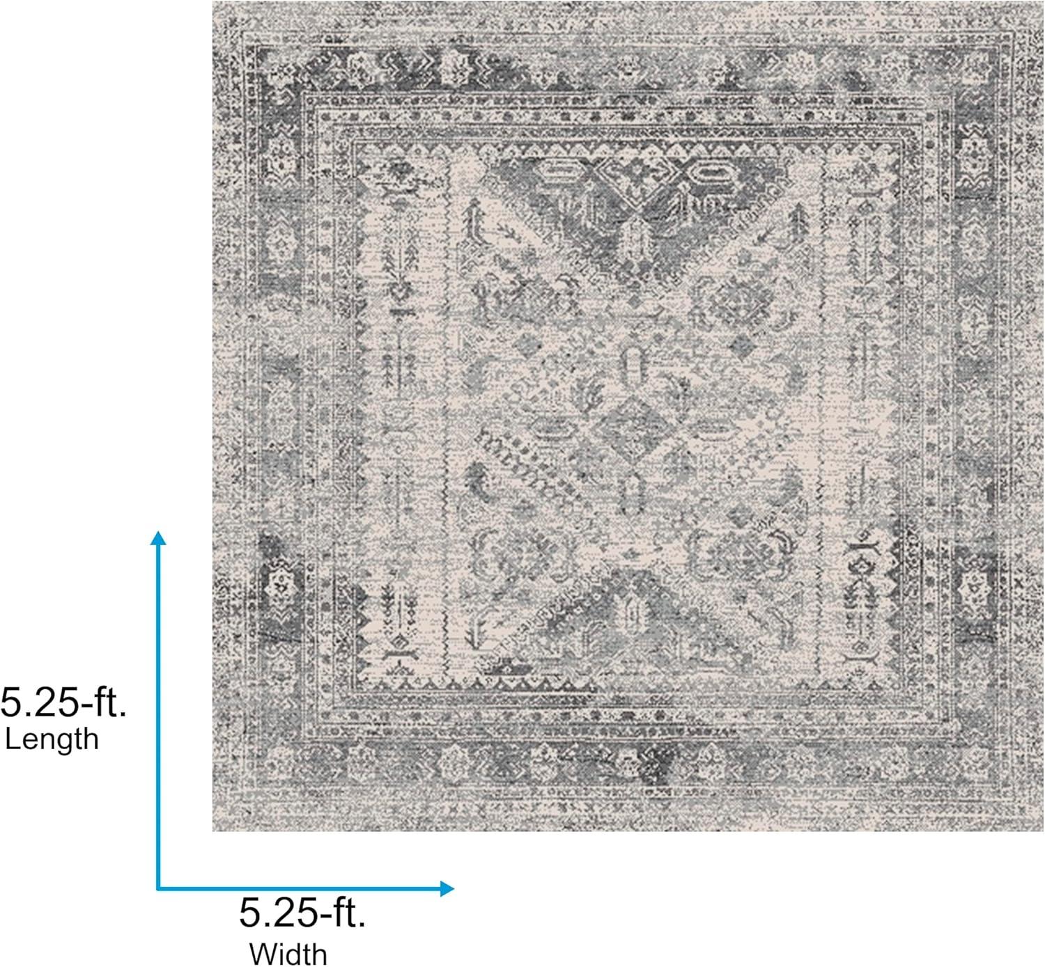 Livabliss 5'3"x5'3" Square Melissa Traditional Rugs Charcoal Gray: Medium Pile, Stain & Fade-Resistant