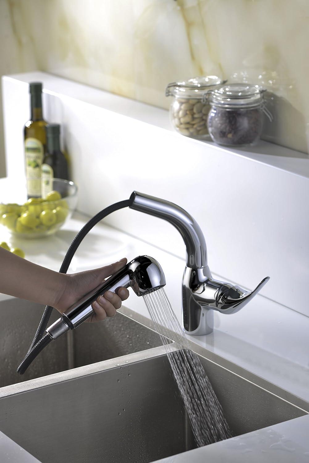 ANZZI KF-AZ040 ANZZI No Kitchen Faucet