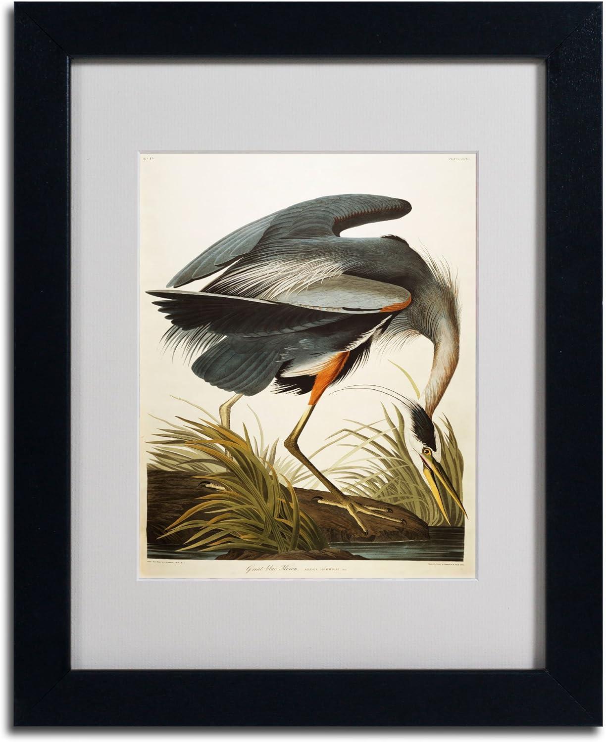 " Great Blue Heron " by James Audubon