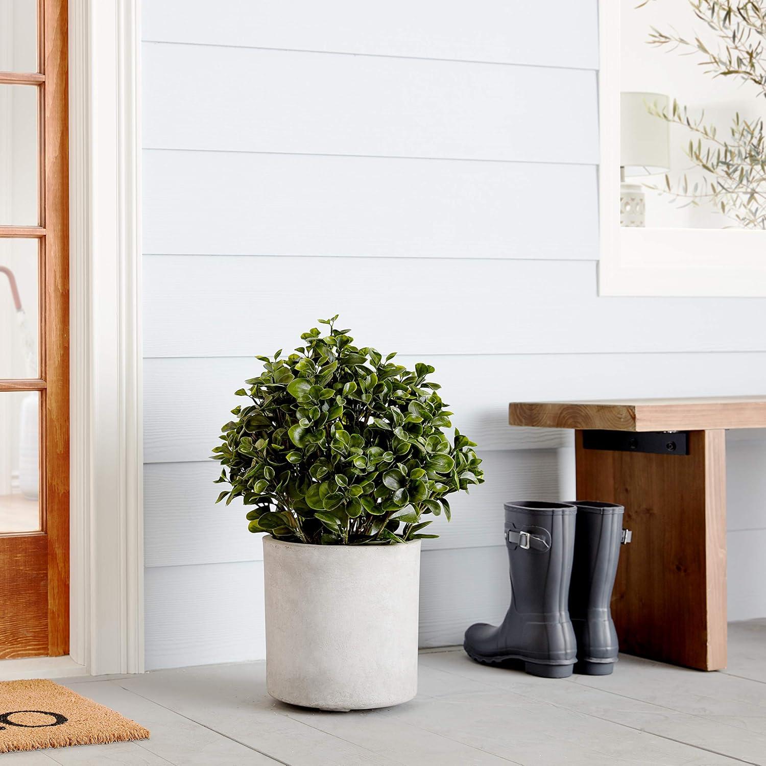 Nearly Natural 23 in. Peperomia Plant UV Resistant (Indoor/Outdoor)