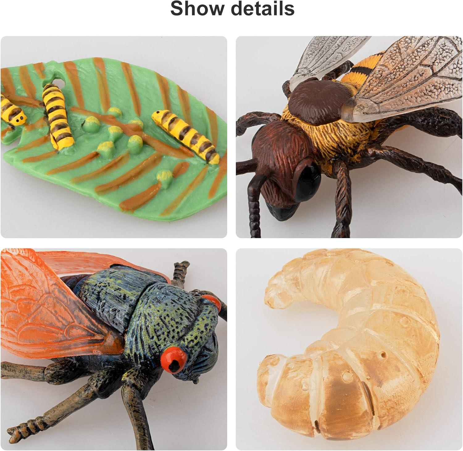 Toymany 16PCS Life Cycle of Goose White Swan Chicken Duck Farm Animals Figures, Plastic Safariology Growth Cycle Eggs Figurines Toy Kit School Project Cake Topper for Kids Toddlers