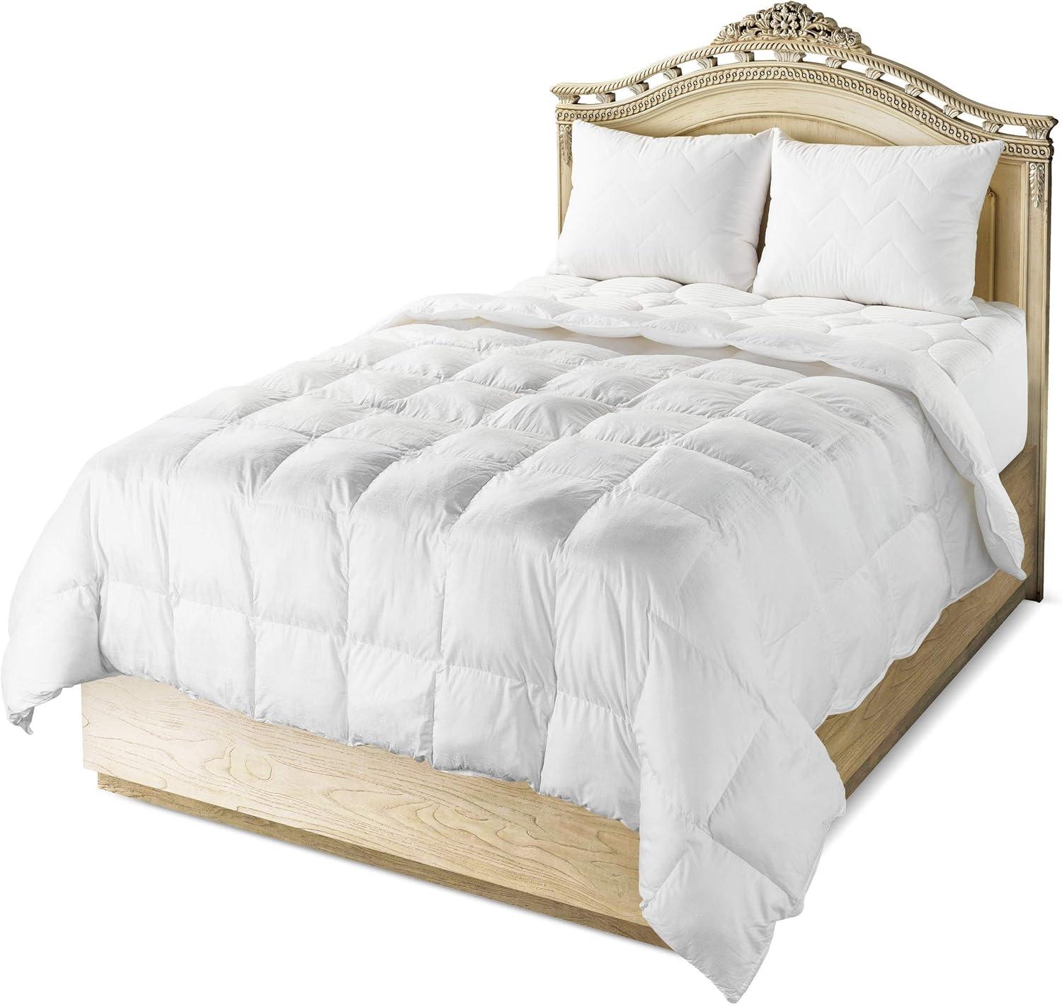 Maxi Luxurious Cozy Cotton Sateen Comforter - 300 Thread Count