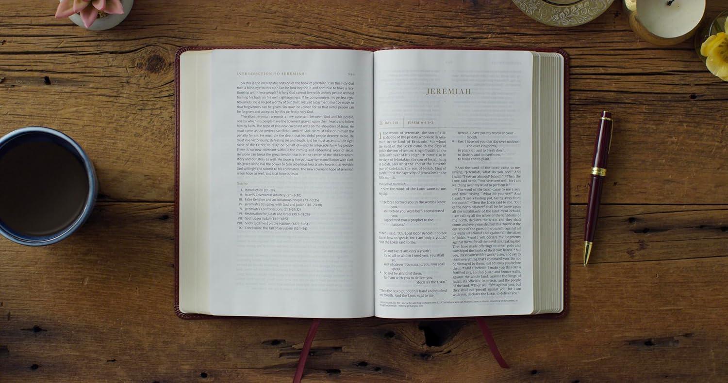 ESV Everyday Gospel Bible - (Leather Bound)