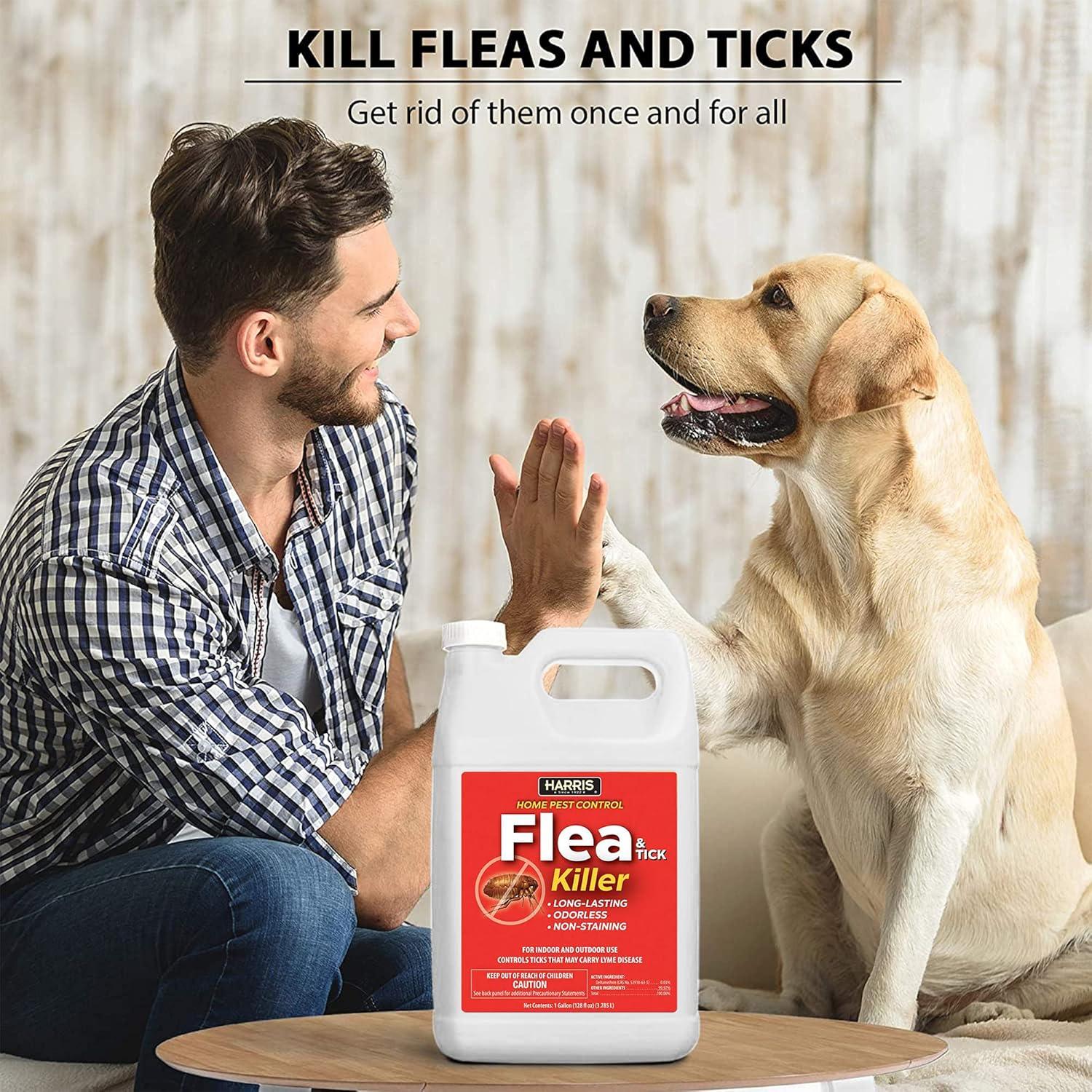 Harris Home Pest Control Flea & Tick Killer Liquid 1 gal