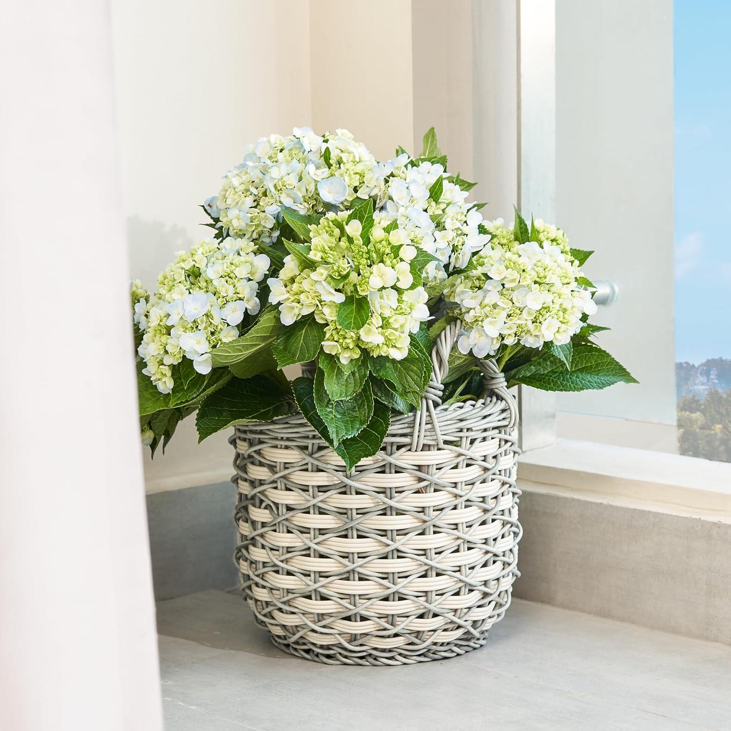 Solhome Zita Round Resin Woven Wicker Multi-Use Storage Basket with Handles 18" x 18" x 19.6" White Gray