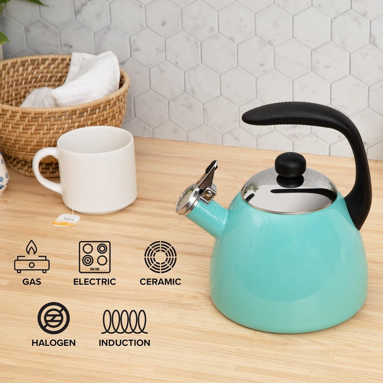 Aqua Enamel Whistling Tea Kettle with Silicone Handle, 2.5 Quart