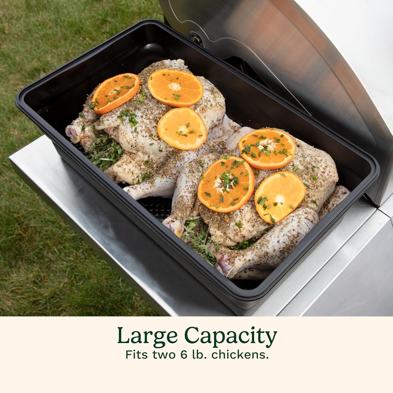 Black BPA-Free XL Collapsible Marinating Container