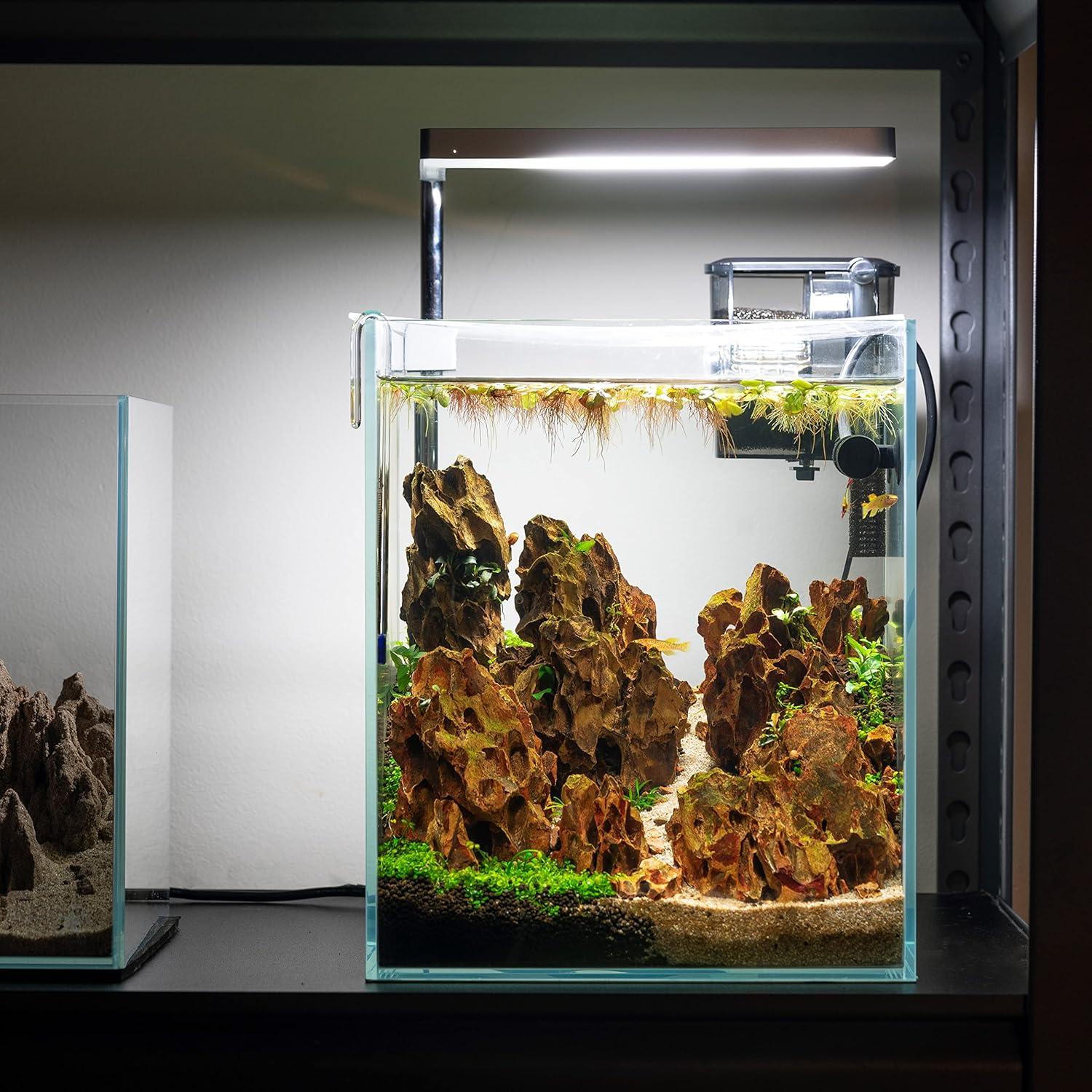 5 Gallon Nano Tall Rimless Tank, Low Iron Glass Tank, Betta Fish Tank, Aquariums Tanks (Nano ET25- 25X25X30cm)