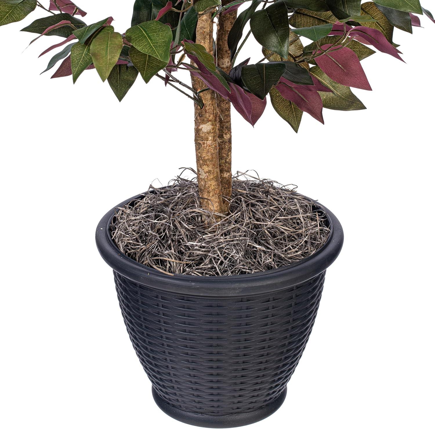 Vickerman 4' Artificial Capensia Bush, Gray Round Plastic Container. In a 12"Lx12"Wx9"H base.