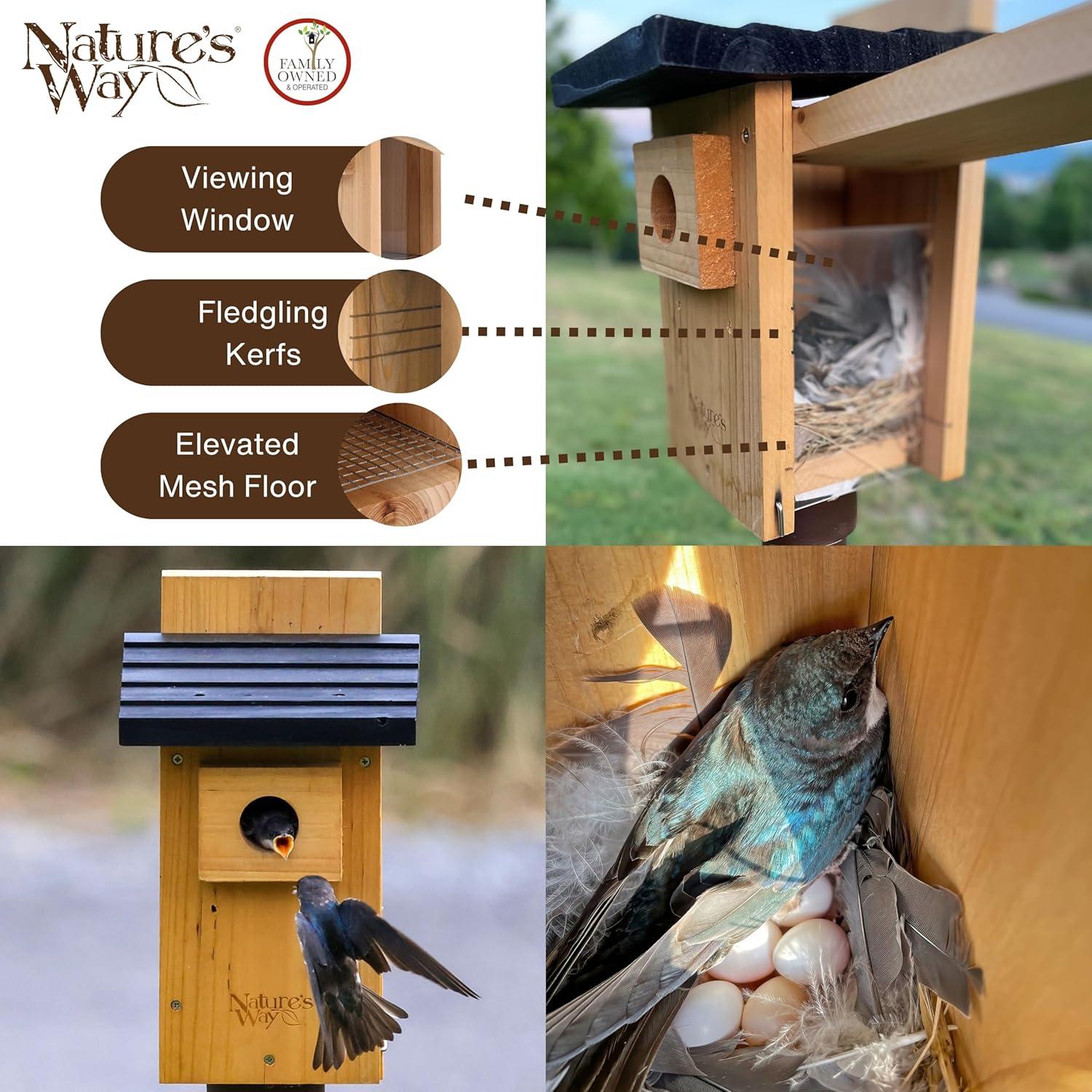 Nature's Way Cedar Bluebird Viewing House, Brown