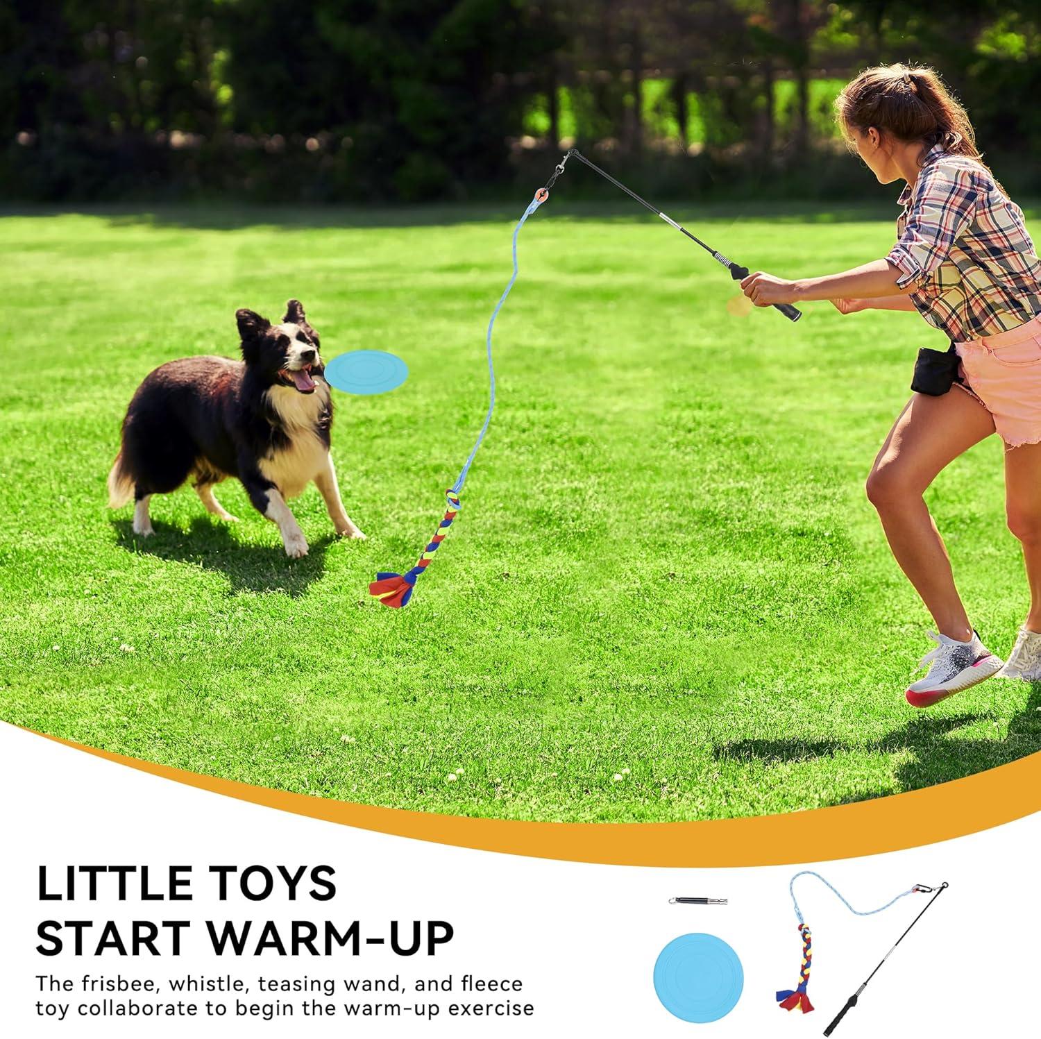 Dog Agility Equipments, Includes Flirt Pole Toy, 3 Flying Discs, 2 Agility Tunnel, 3 Jumps, 6 Weave Poles, Pause Box,Agility Course Set for Backyard, Indoor, Outdoor