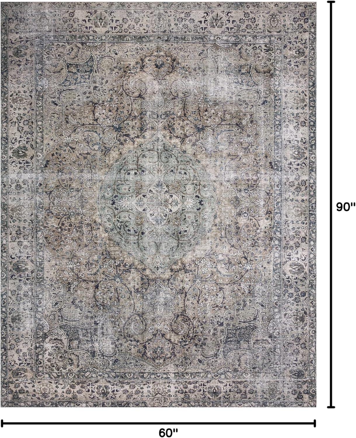 Loloi II Layla Printed Oriental Distressed Taupe / Stone Area Rug
