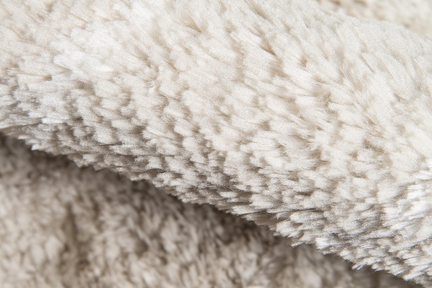 Novogratz Area Rug & Reviews | AllModern