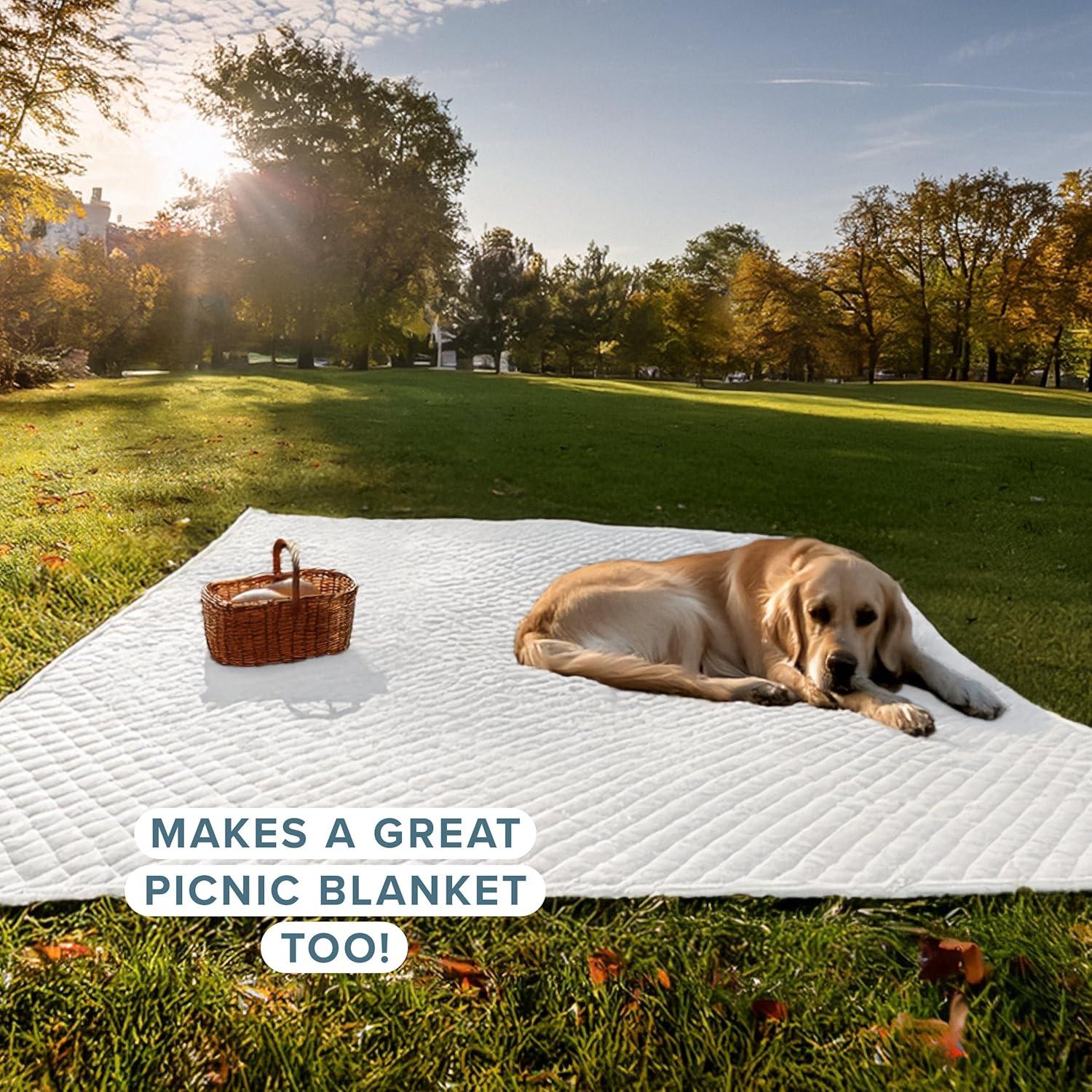 Bare Home Modern & Contemporary Coverlet Set
