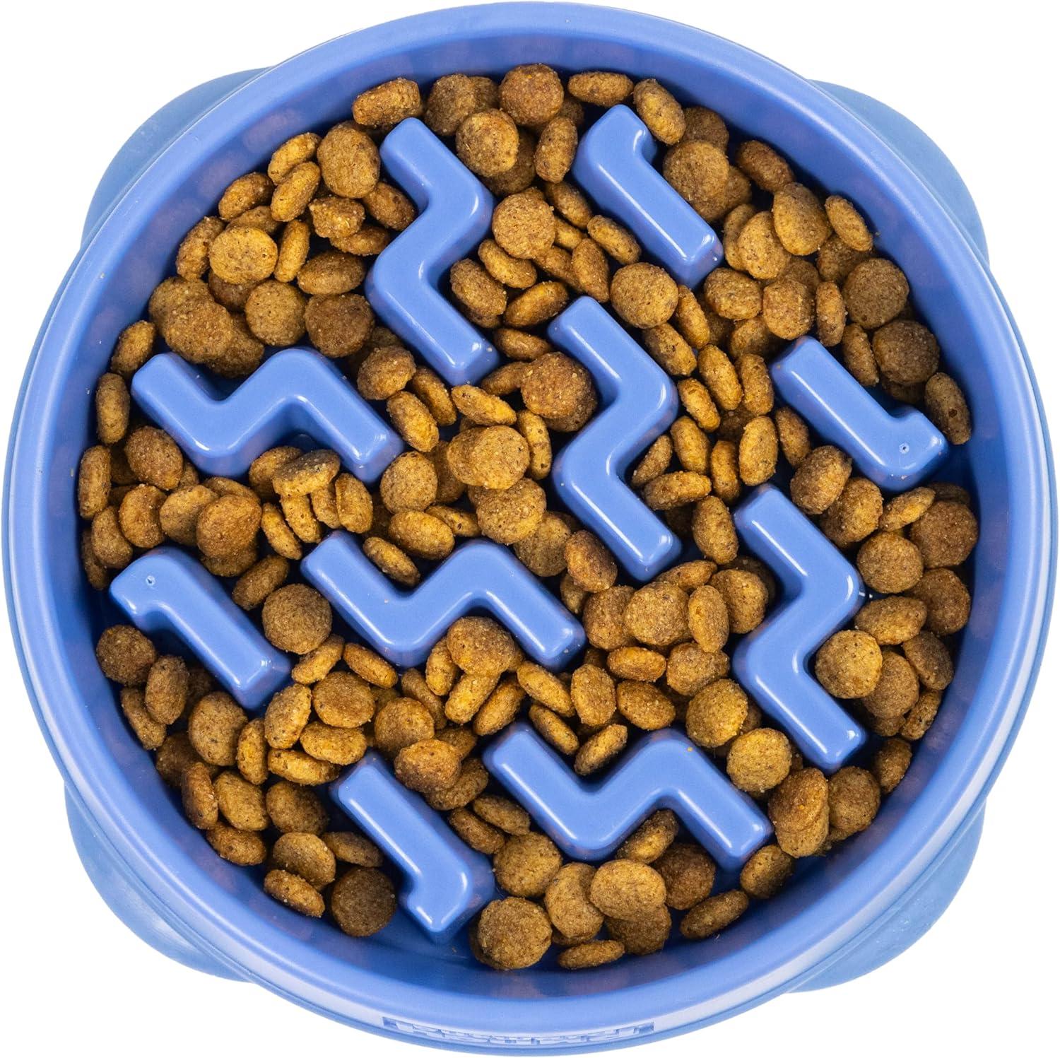 Outward Hound Outward Hound Fun Feeder Slow Bowl, Slow Feeder Dog Bowl, Blue