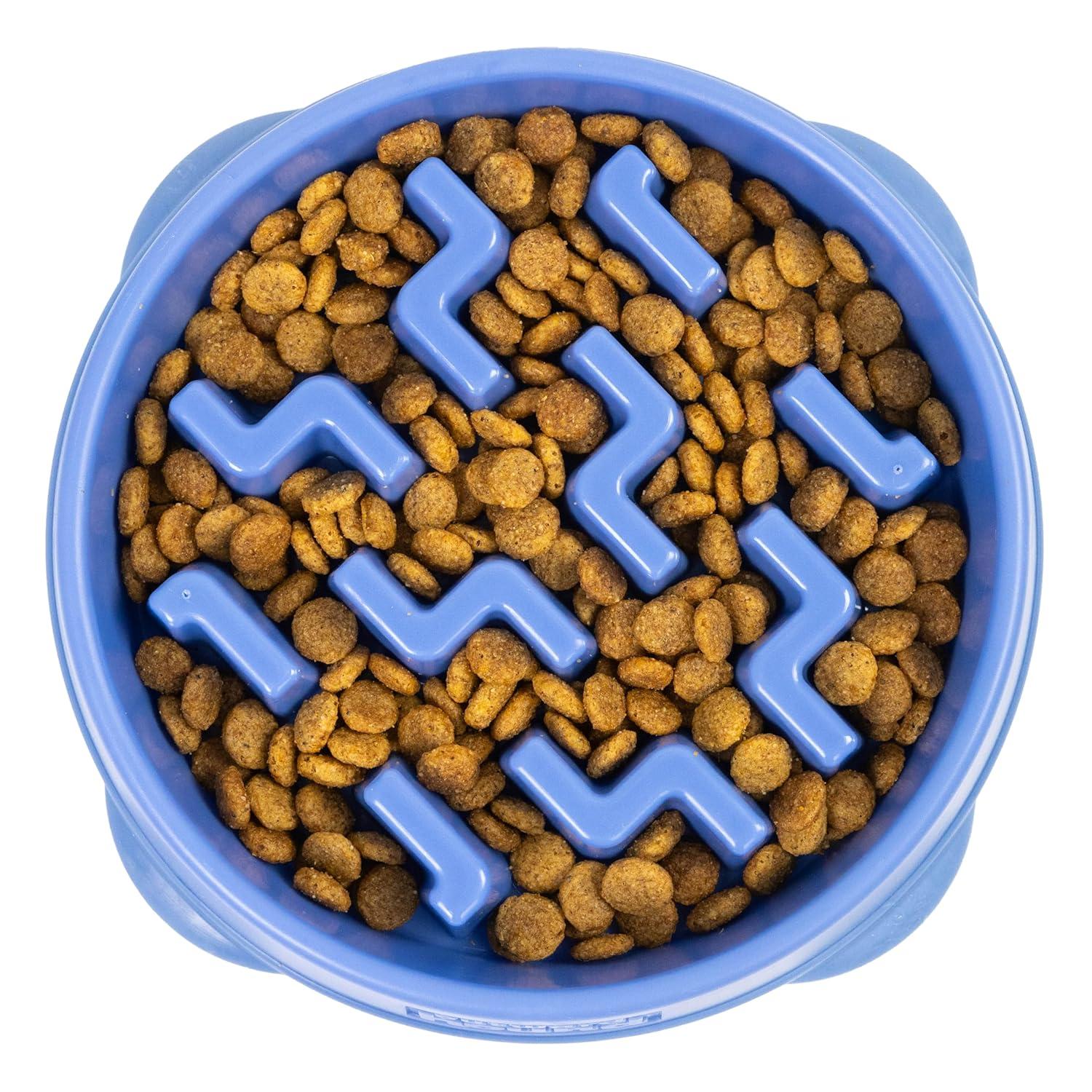 Outward Hound Outward Hound Fun Feeder Slow Bowl, Slow Feeder Dog Bowl, Blue