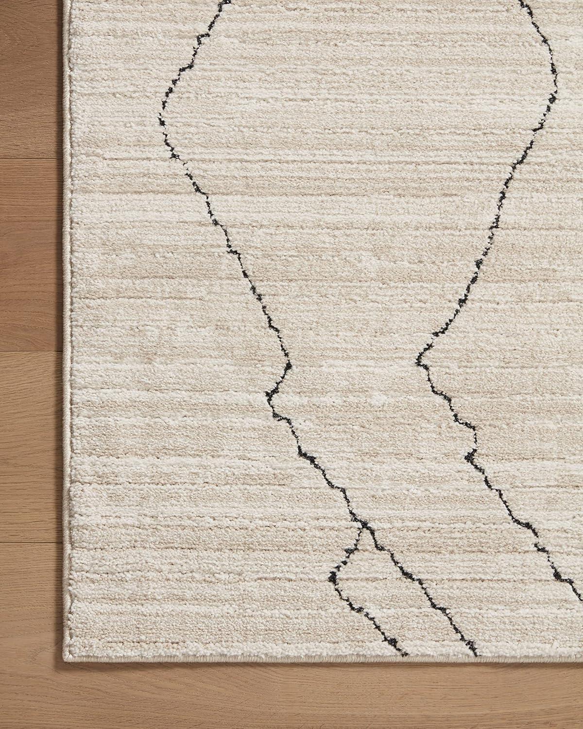 Loloi II Darby Performance Area Rug in Sand