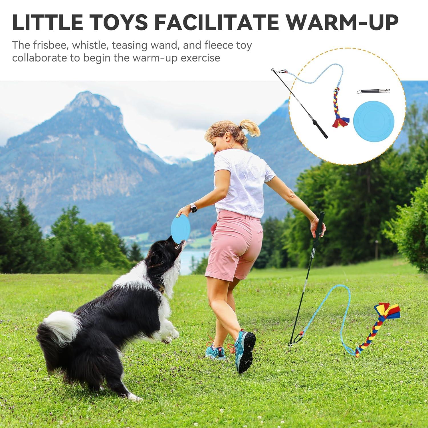 YITAHOME Dog Agility Training Equipment Set with 2 Flexible Tunnels, 2 Hurdles, Jump Ring, 6 Weave Poles, Pause Platform, Teaser Pole, 3 Flying Discs, and Carry Bags for Indoors Outdoors, Orange/Blue