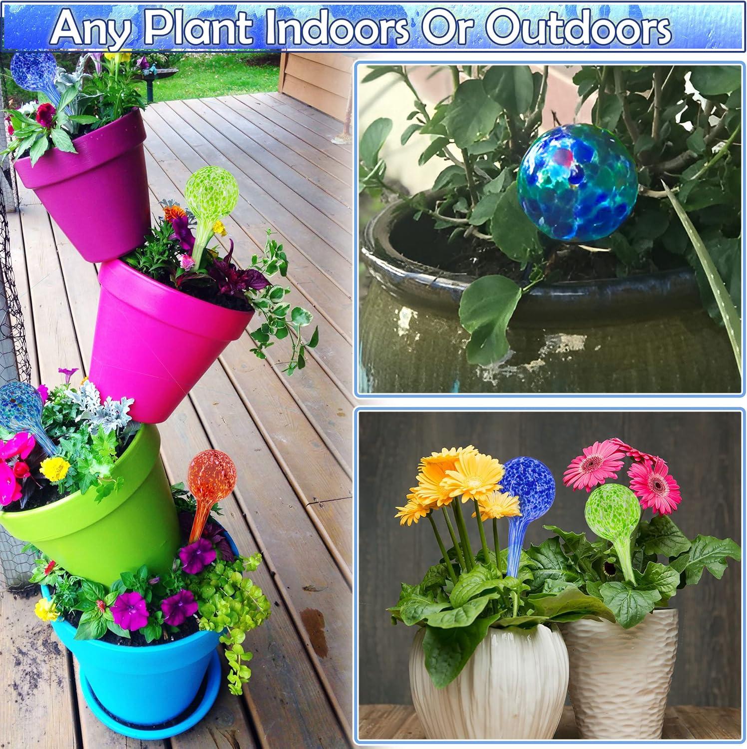 Large Multicolor Hand Blown Glass Plant Watering Globes Set