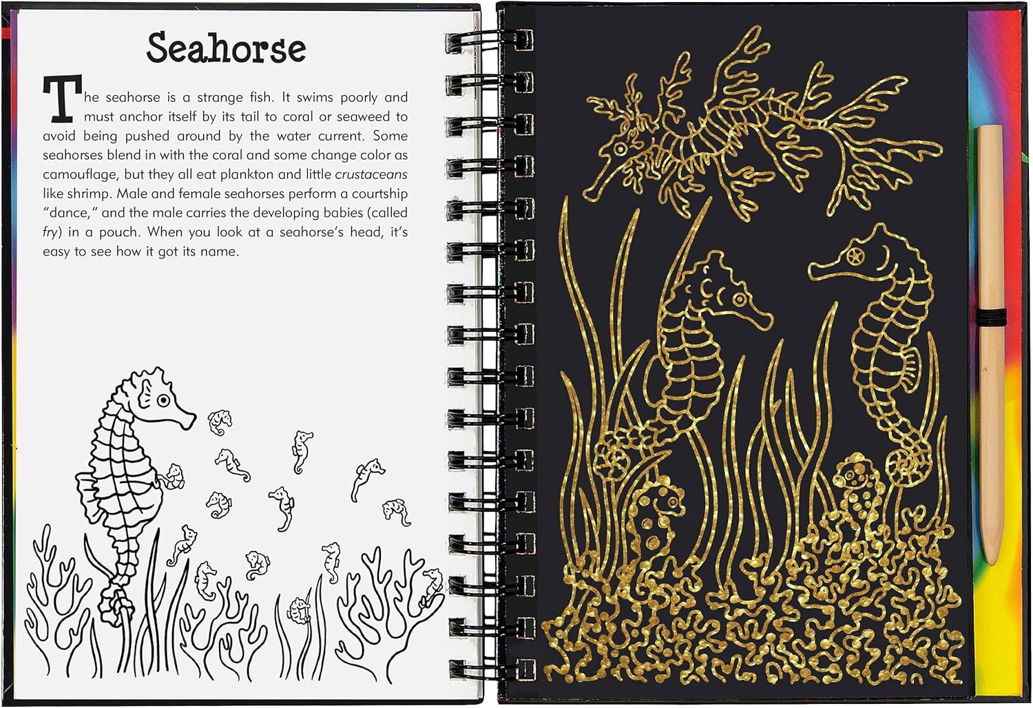 Scratch and Sketch Trace-Along Scratch & Sketch Coral Reefs, (Hardcover)