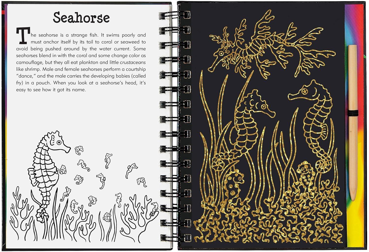 Scratch and Sketch Trace-Along Scratch & Sketch Coral Reefs, (Hardcover)
