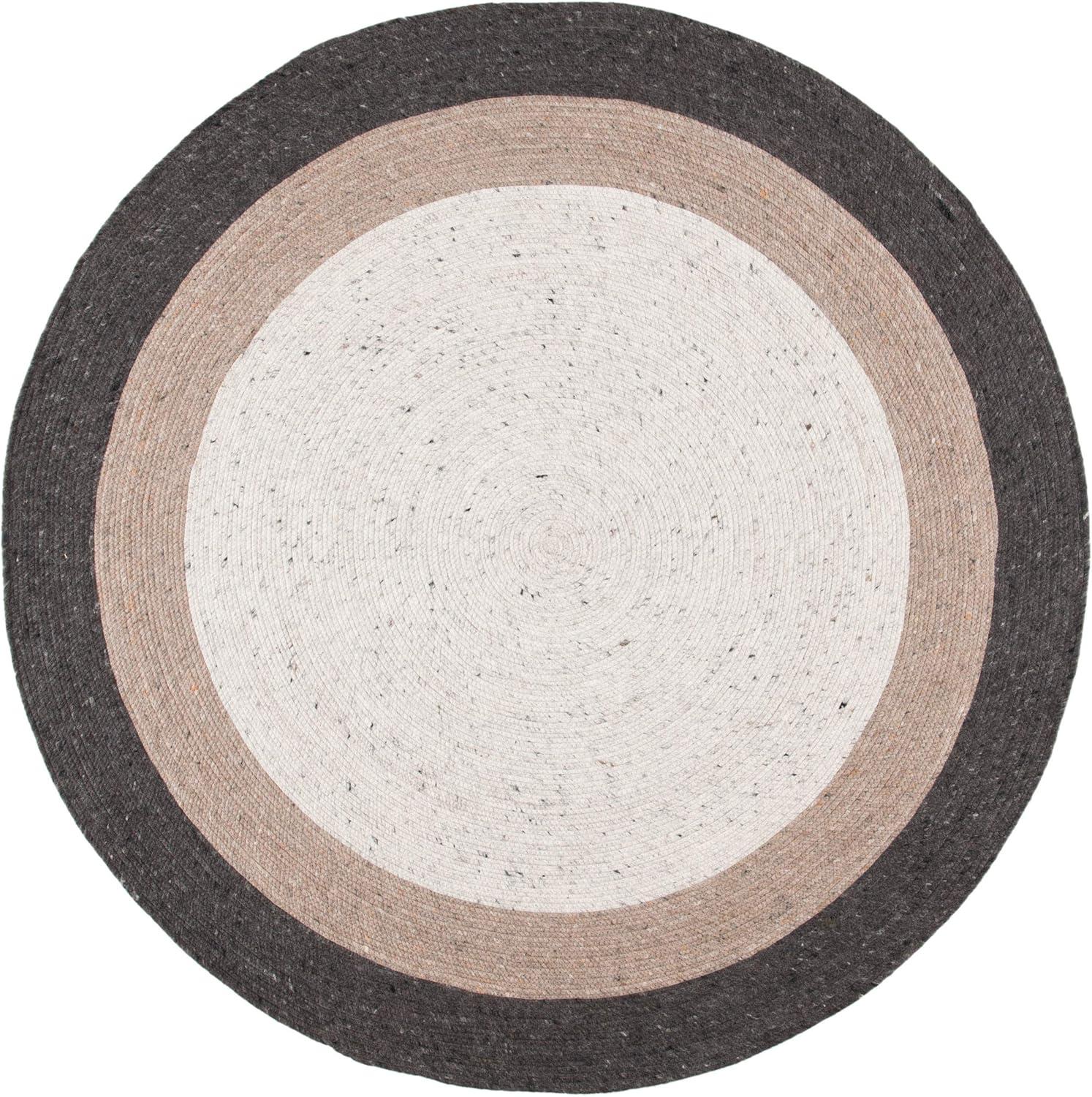 Braided BRD903 Hand Woven Indoor Area Rug - Beige/Ivory - 5' Round - Safavieh