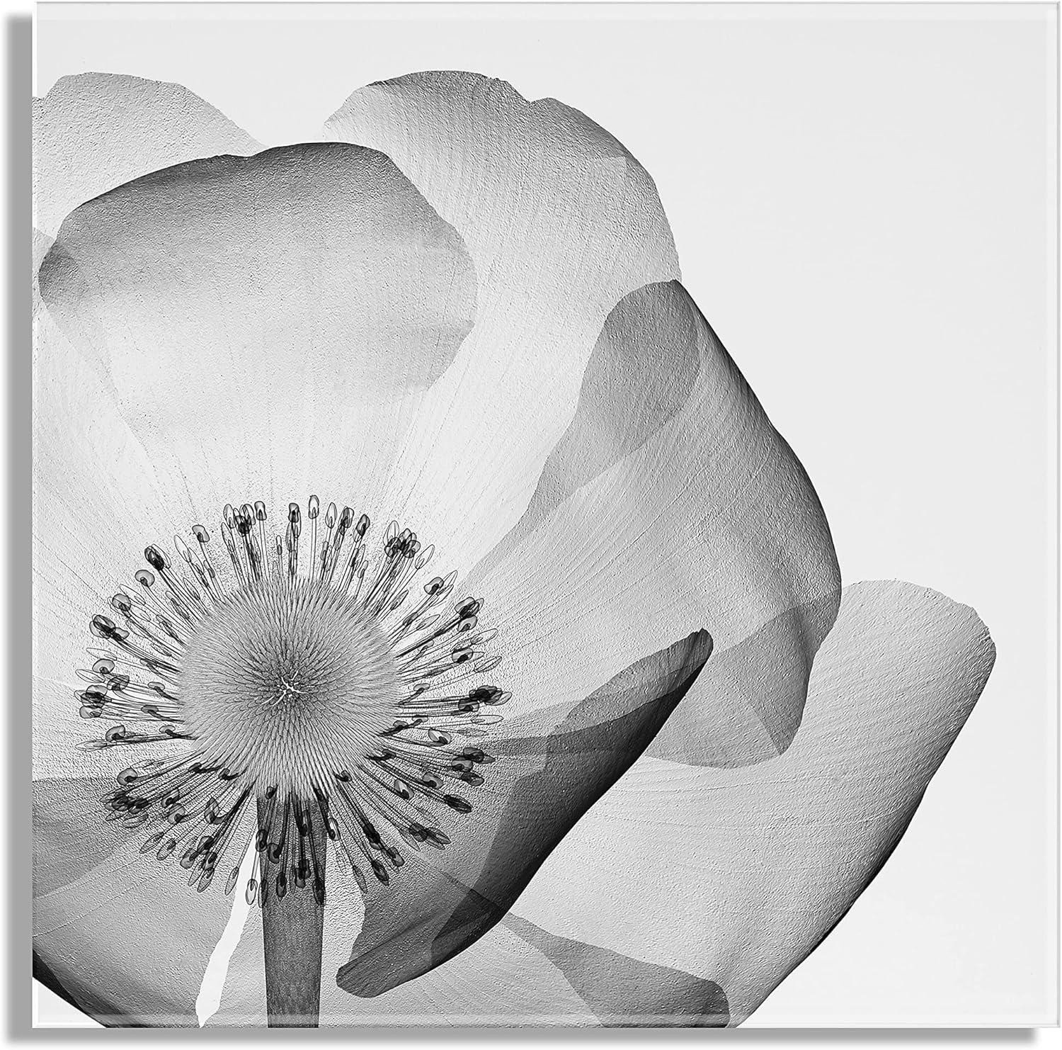 23" x 23" Poppy Ray Floral Floating Acrylic Wall Canvas: Modern Decor by Kate & Laurel