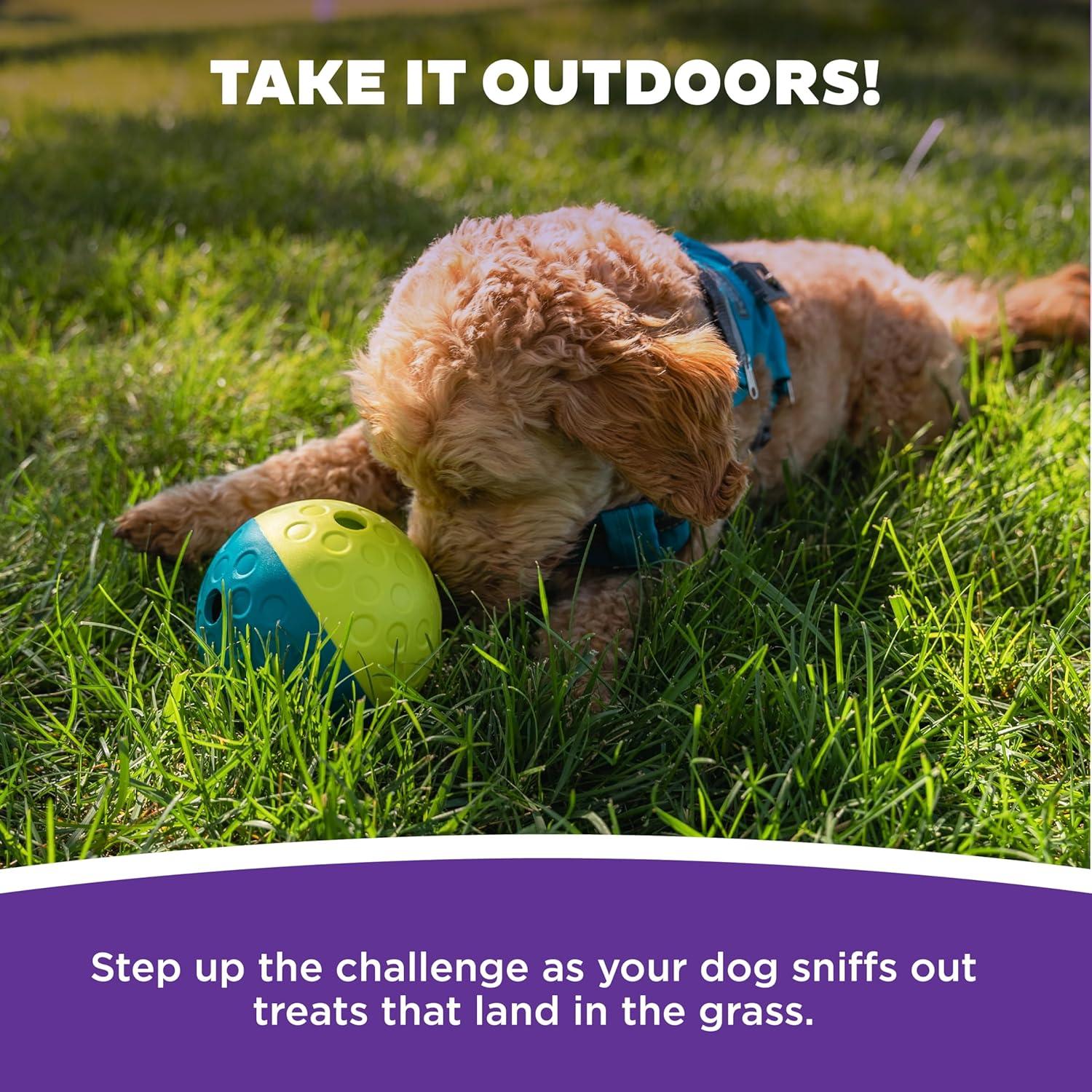 Nina Ottosson by Outward Hound Treat Tumble Interactive Puzzle Dog Toy, Blue, Small