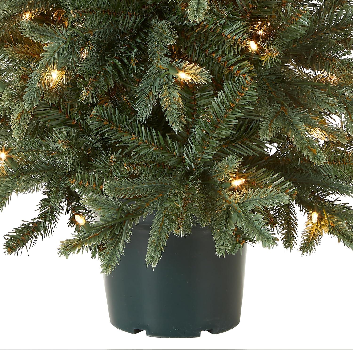 The Holiday Aisle® 3ft. Everyday Collection Potted Evergreen Tree with Clear Lights