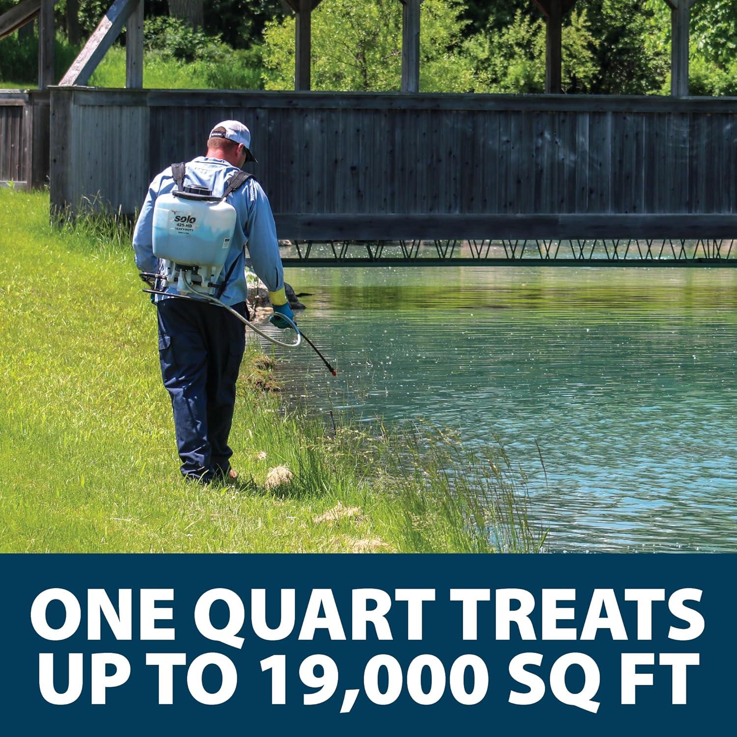 Airmax Shoreline Defense Emergent Weed Control Concentrated Treatment, Aquatic Herbicide (Glyphosate) for Phragmites, Pond Grass & Cattails, 1 Gallon