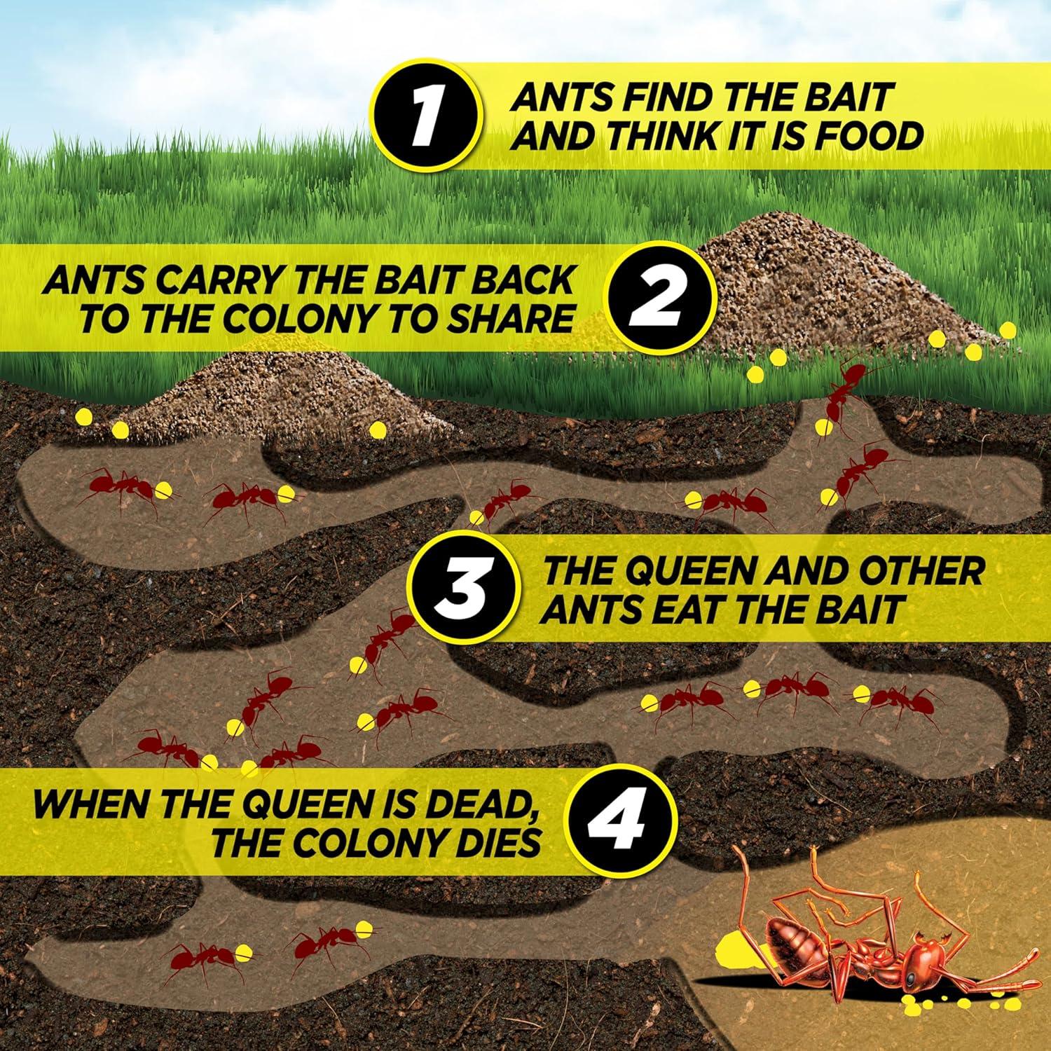 Amdro Outdoor Fire Ant Killer Bait for Mounds and Lawns, 1 lb.