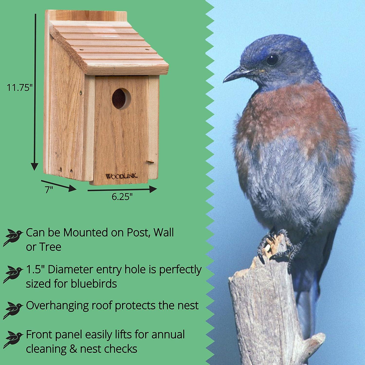 Woodlink Cedar Bluebird House DIY Craft Kit