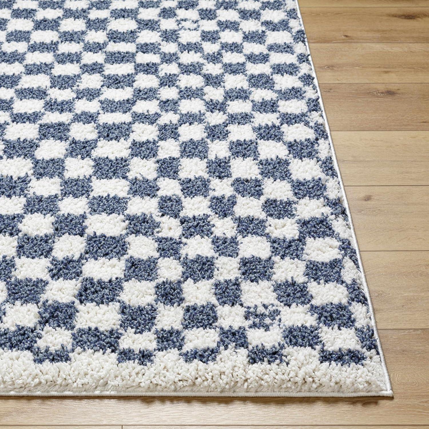 Hauteloom Kieu Black & White Checkered Shag Rug