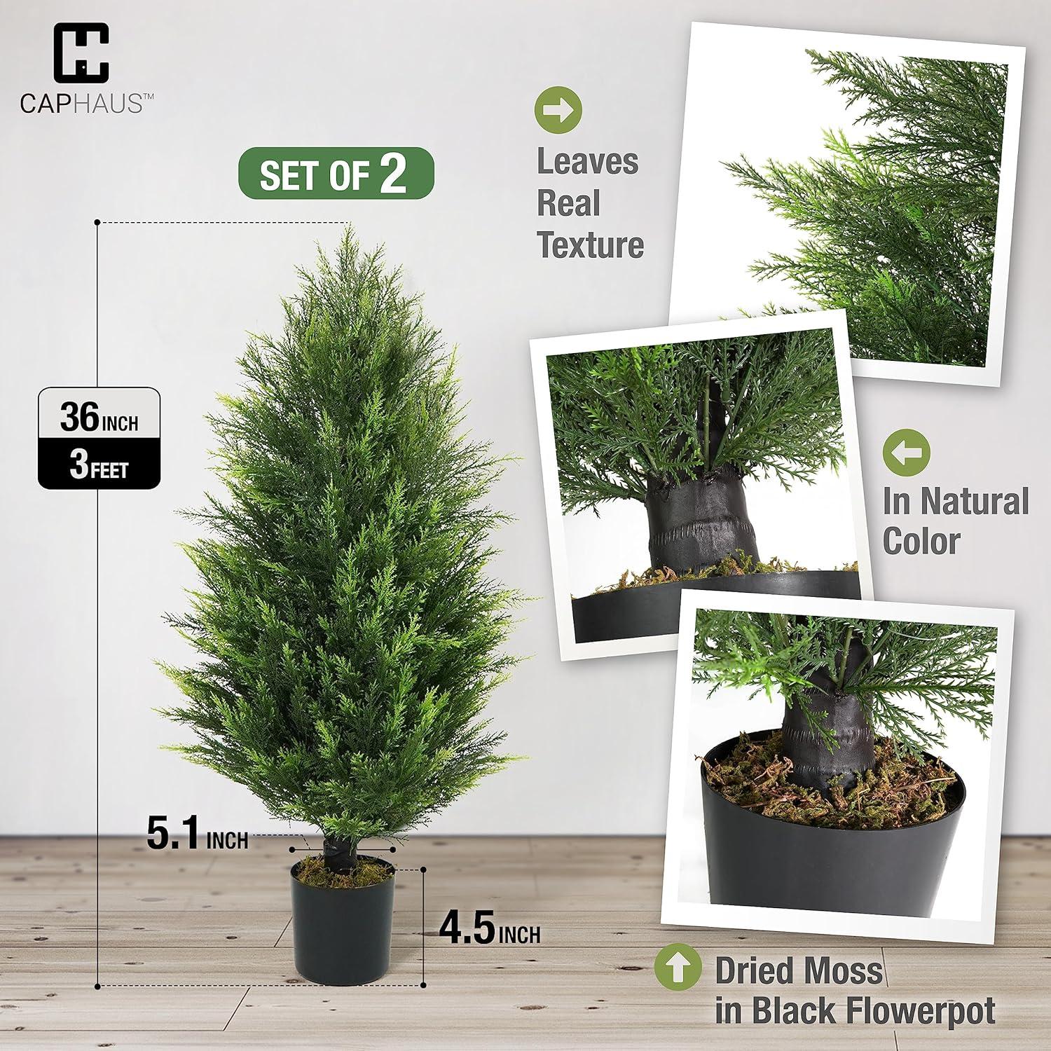 CAPHAUS 3 FT Artificial Cedar Tree Set of 2, 36 Inch Fake Boxwood Topiary w/Dried Moss, Natural Faux Plants for Outside Planter, UV Resistant, Artificial Tree Indoor, Outdoor Patio Décor