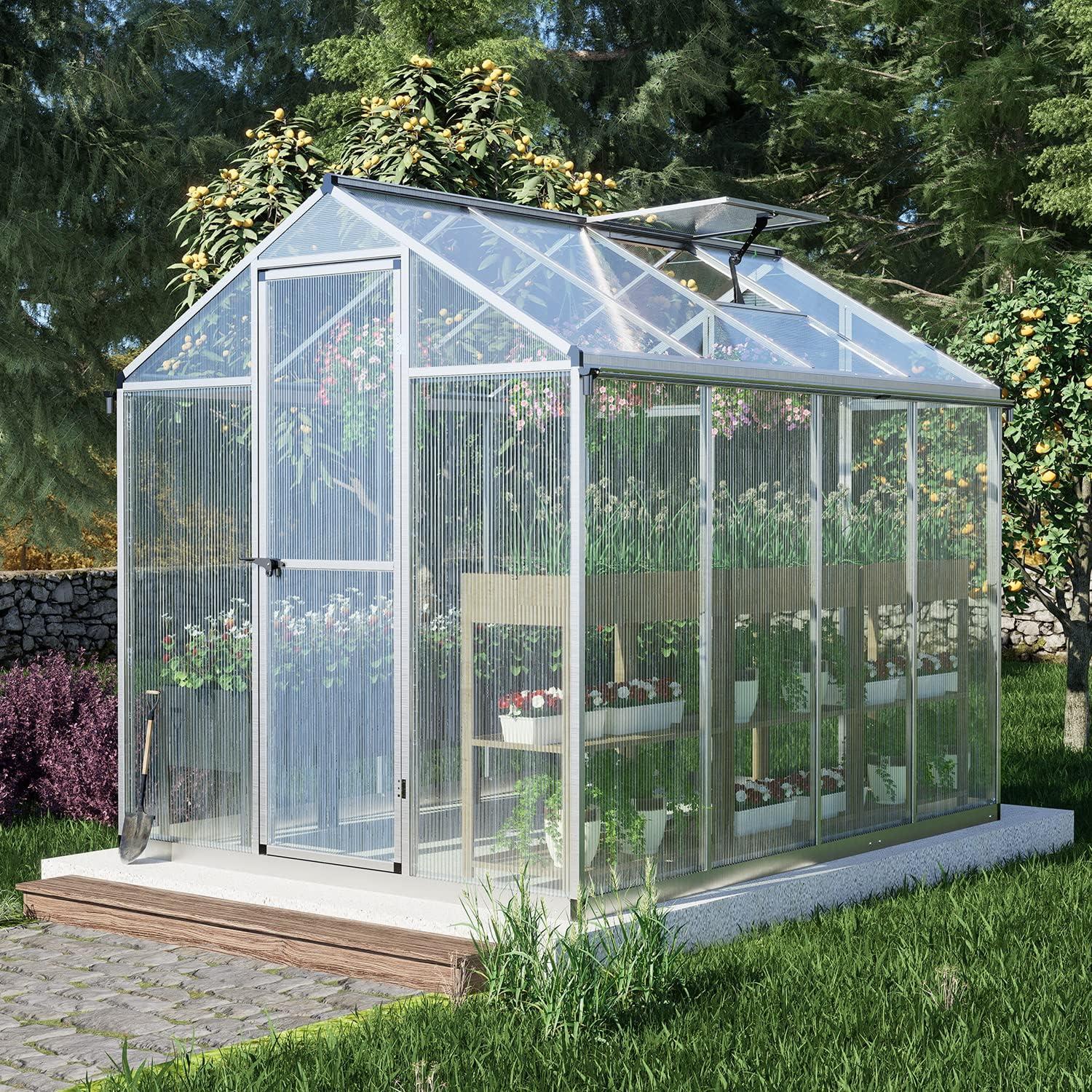 6' x 8' Clear Polycarbonate Greenhouse with Aluminum Frame