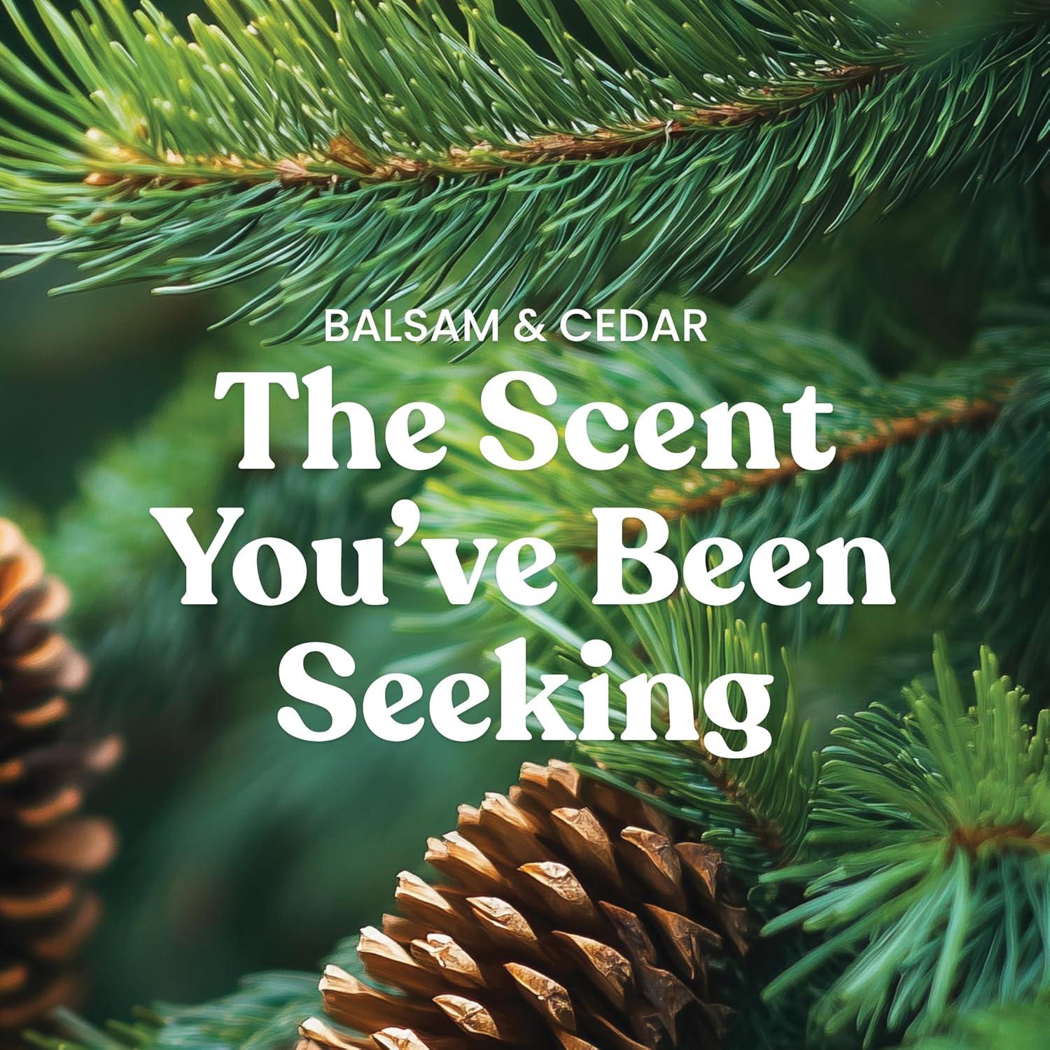 ToccoLeggero Signature Balsam & Cedar Scented Candle