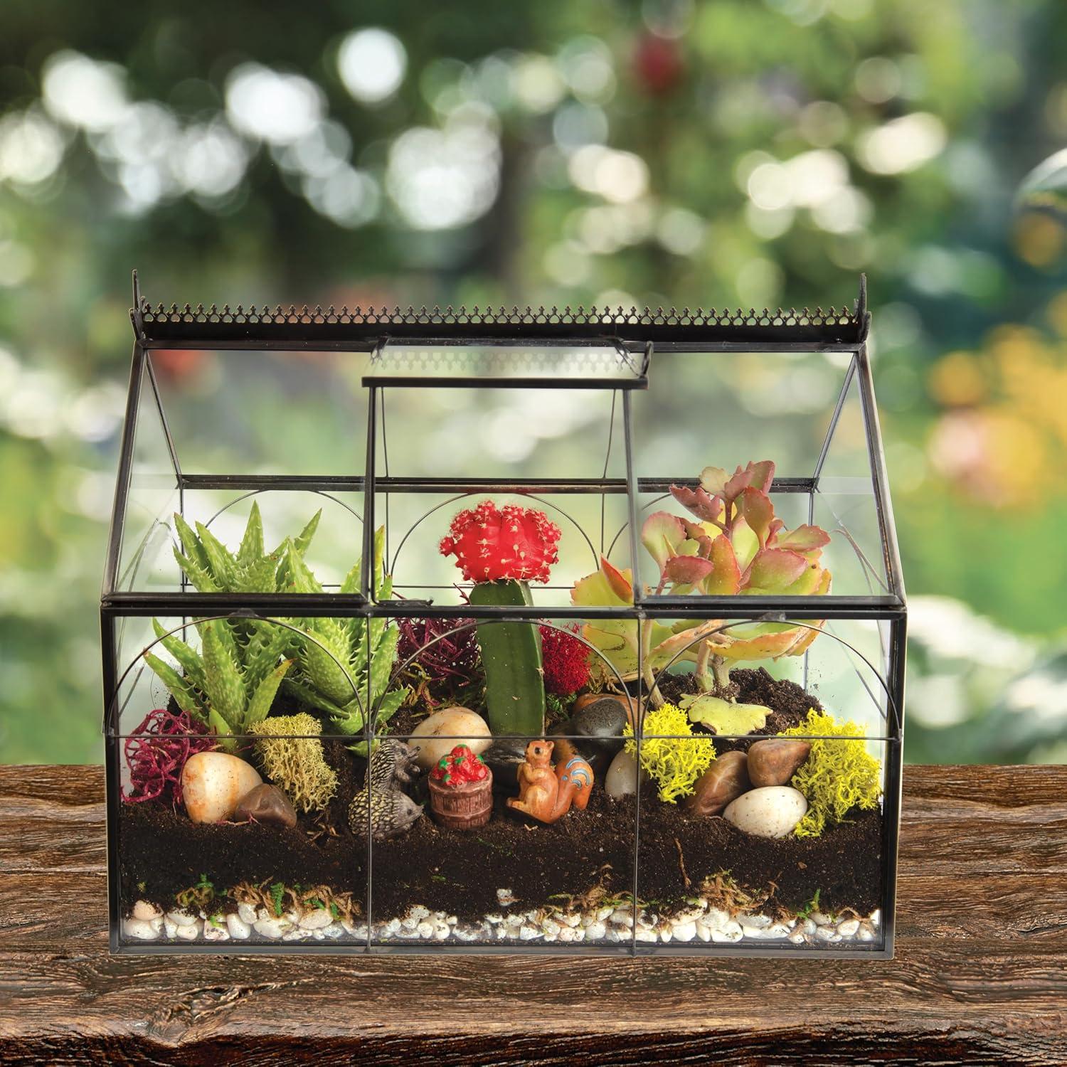 D'Eco Glass Greenhouse Plant Terrarium (10x4.5x9) - Indoor Tabletop Black Hinged Geometric Planter Holiday Decor - Christmas Gift for Plant Lovers