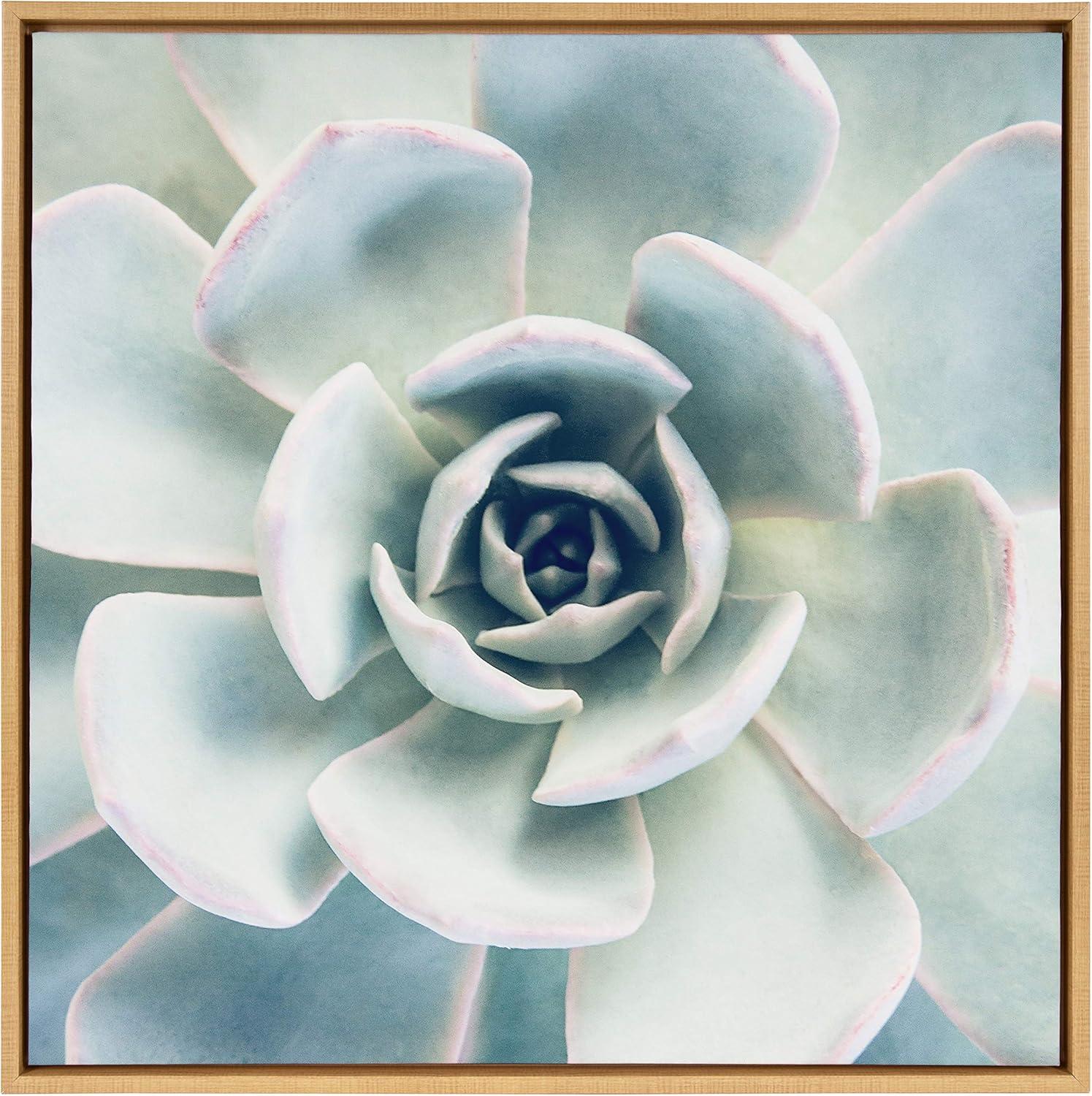 30" x 30" Sylvie Succulent 7 Framed Canvas by F2 Images Natural - Kate & Laurel All Things Decor: Wall Display, Botanical Digital Art