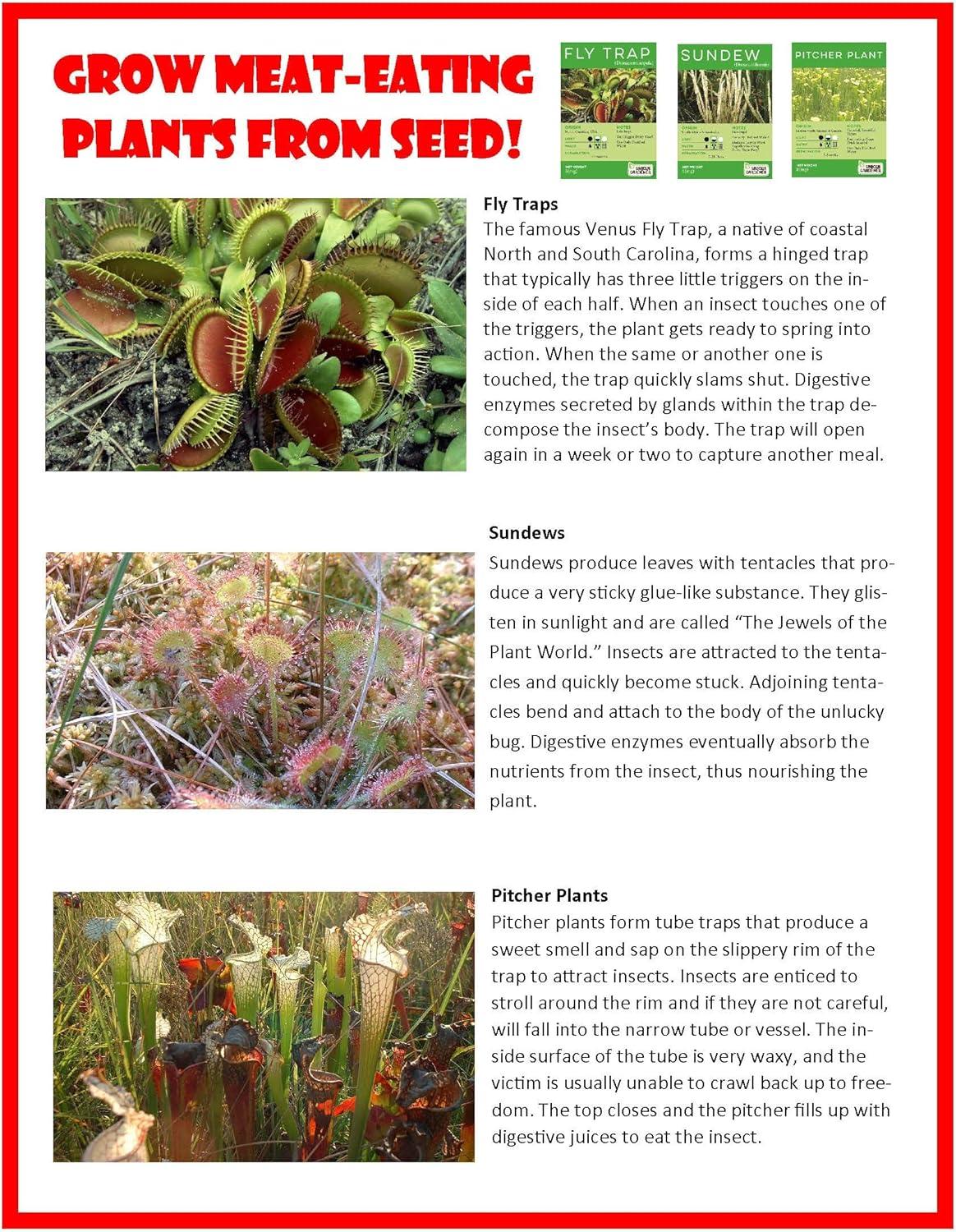 Toys By Nature Toys By Nature 1 Player S.T.E.M Game