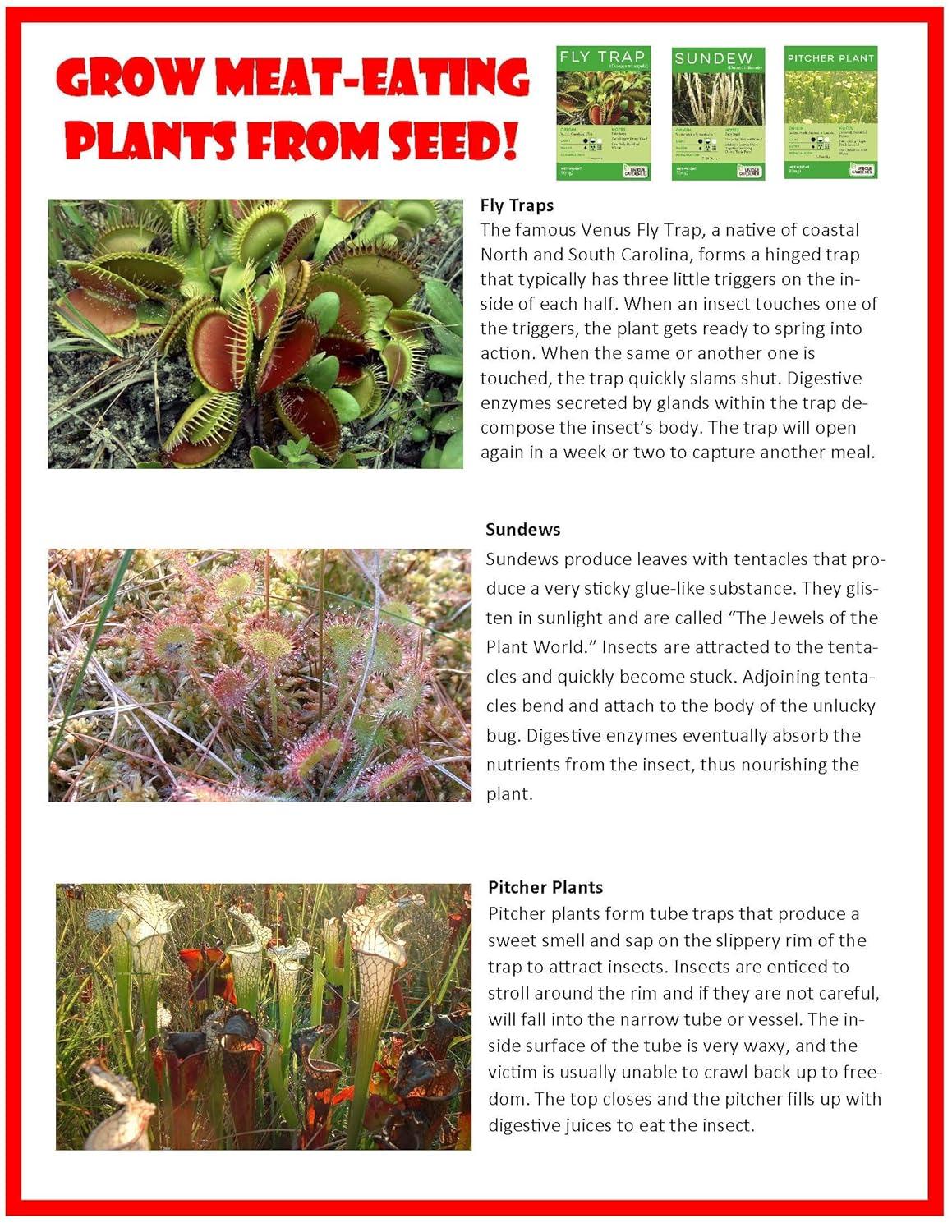 Toys By Nature Toys By Nature 1 Player S.T.E.M Game