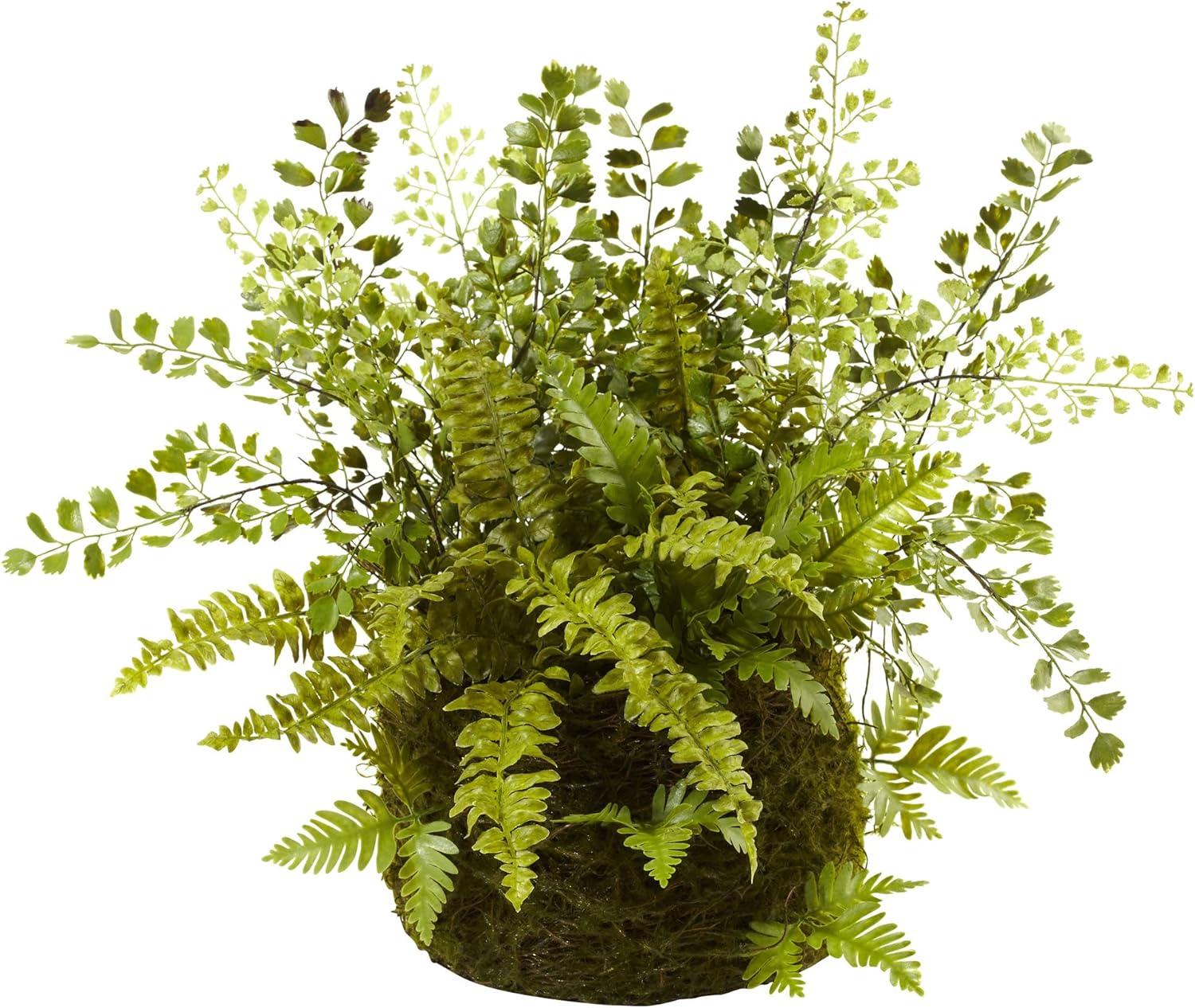 Subtle Earthy Silk Fern Tabletop Arrangement in Twig & Moss Basket