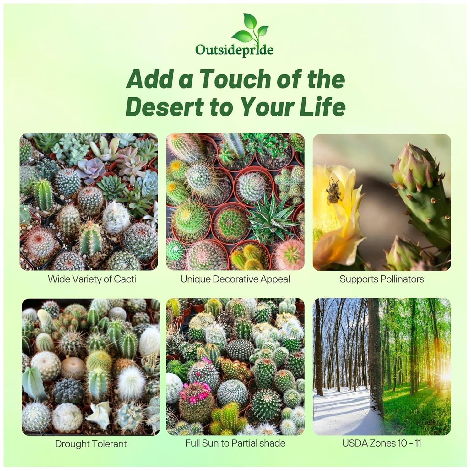 2000 Seeds Green and Brown Cactus Succulent Mix