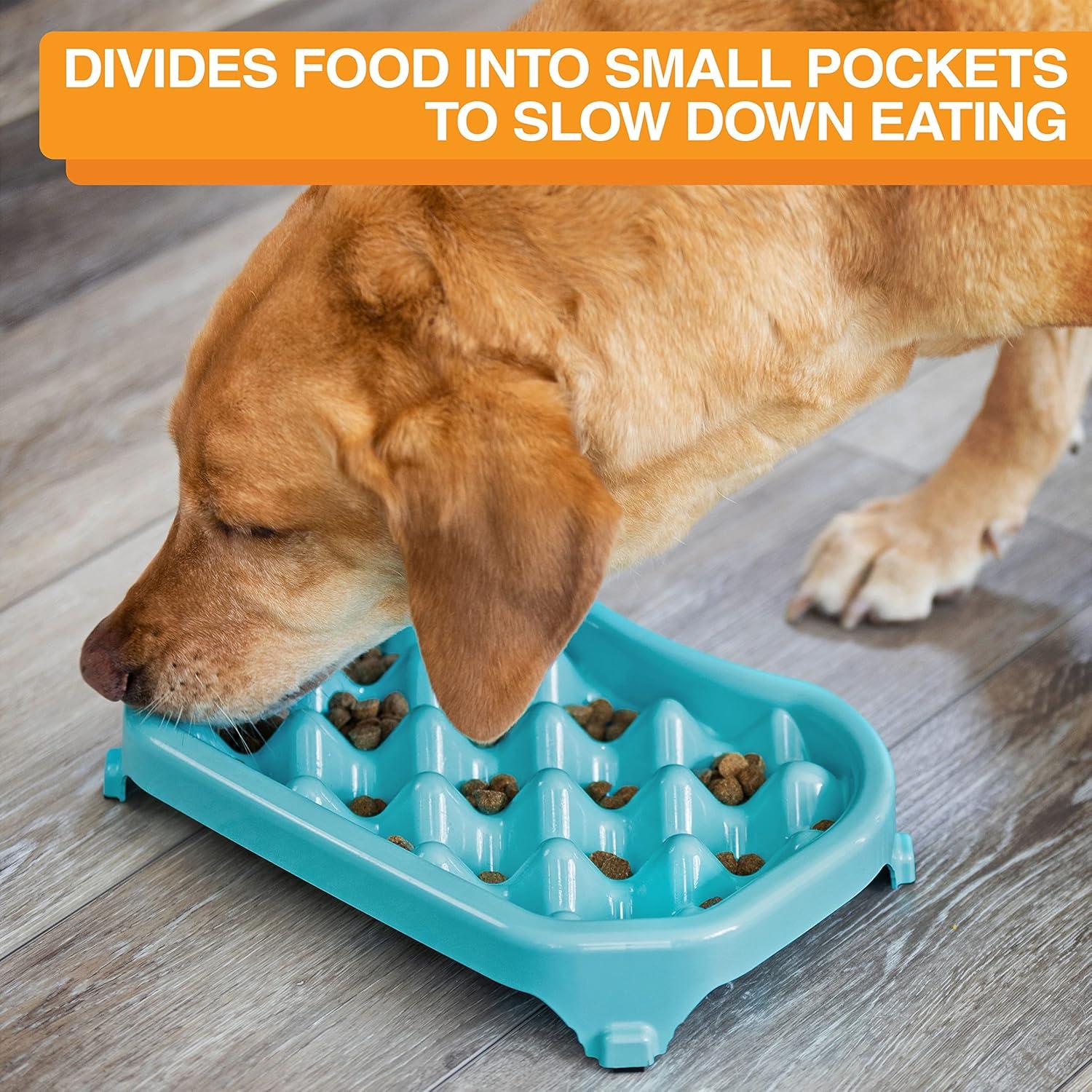 Neater Pet Brands Neater Slow Feeder to Improve Digestion, Stop Obesity, and Slow Down Eating, 6 Cups, Aquamarine