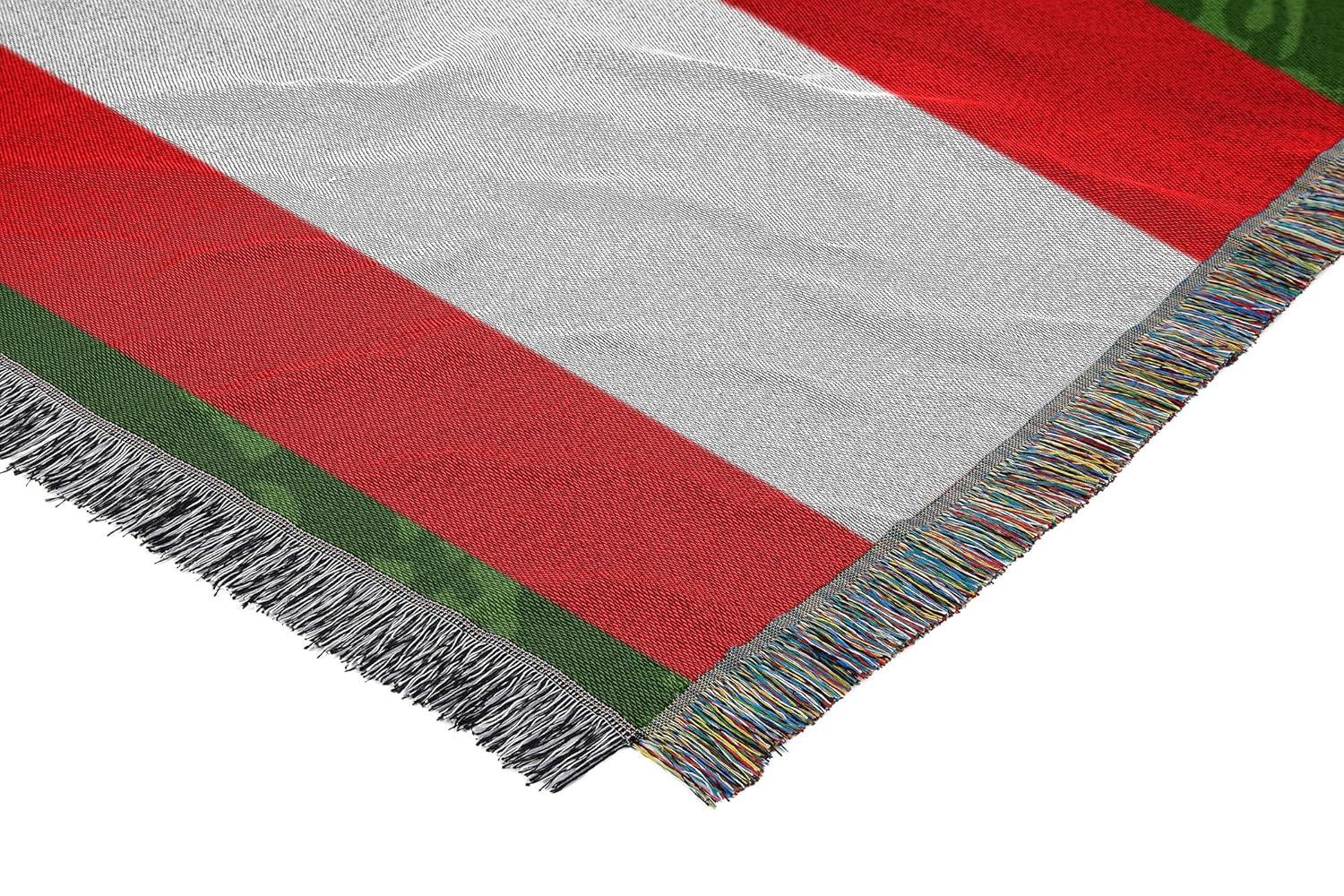 Northwest NFL Buffalo Bills Throw Blanket, Vintage Football Fan Decor, 48x60 Inches