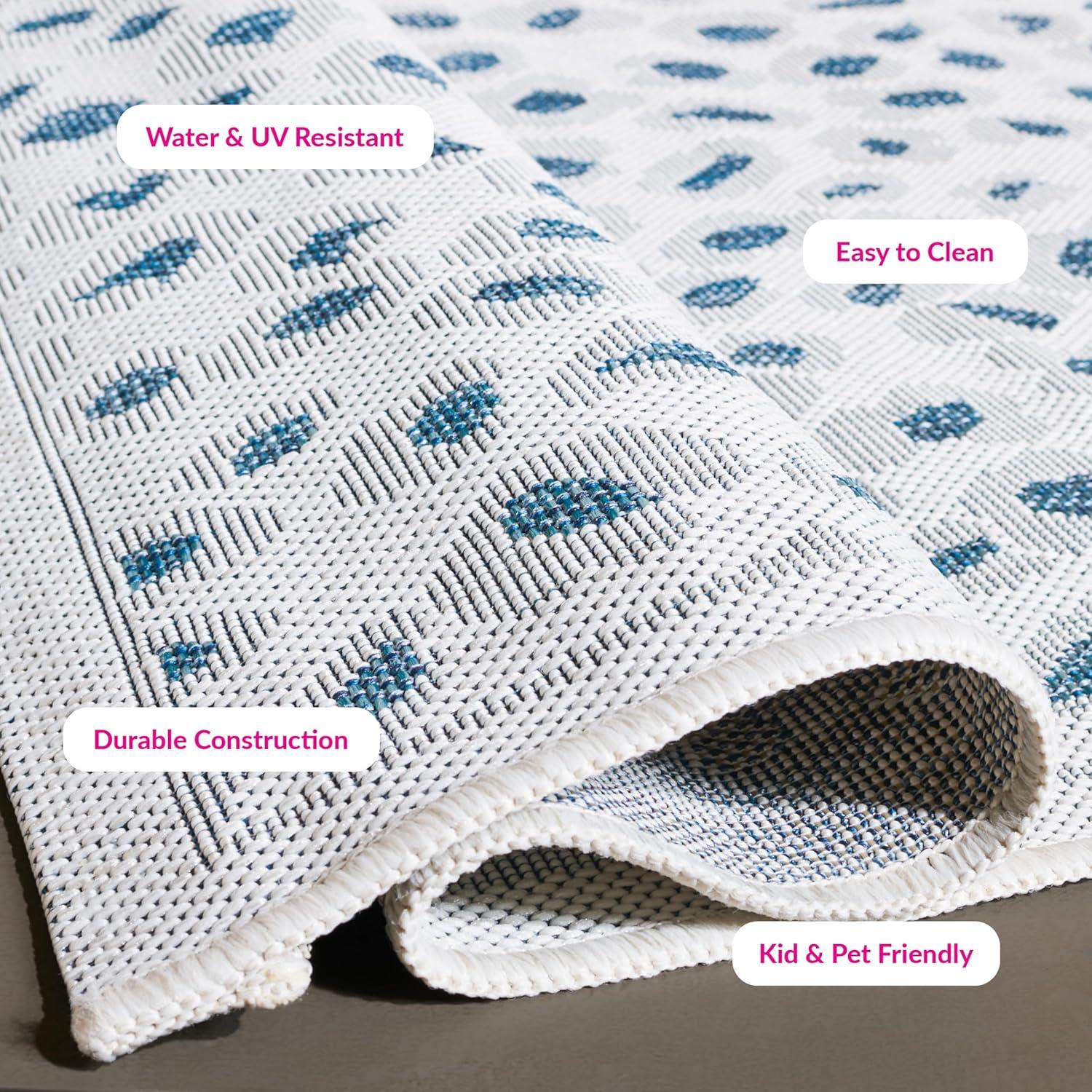 Aidah Performance Rug