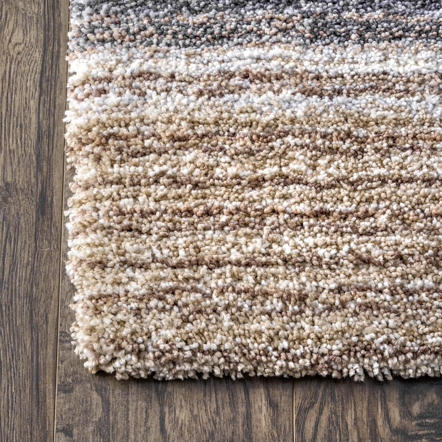 Drey Ombre Shag Area Rug - nuLOOM