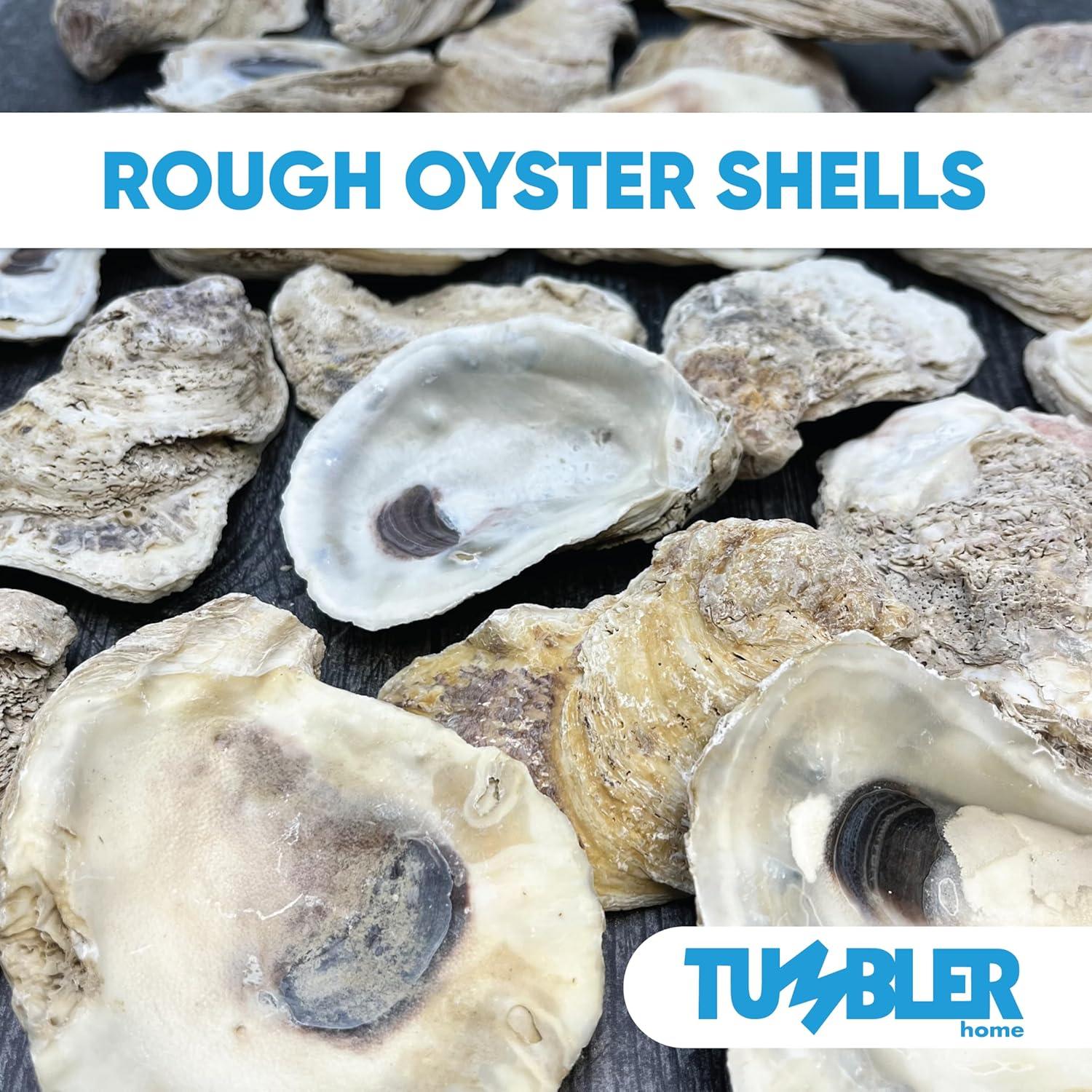 Tumbler Home Oyster Shells for Crafts, 3" - 4" Large Oyster Shells, 20PCS Bulk Bag for DIY Crafting, Decoupage, Christmas Ornaments, Wreaths, Weddings, Beach Decor Arts & Crafts. Farmed in USA