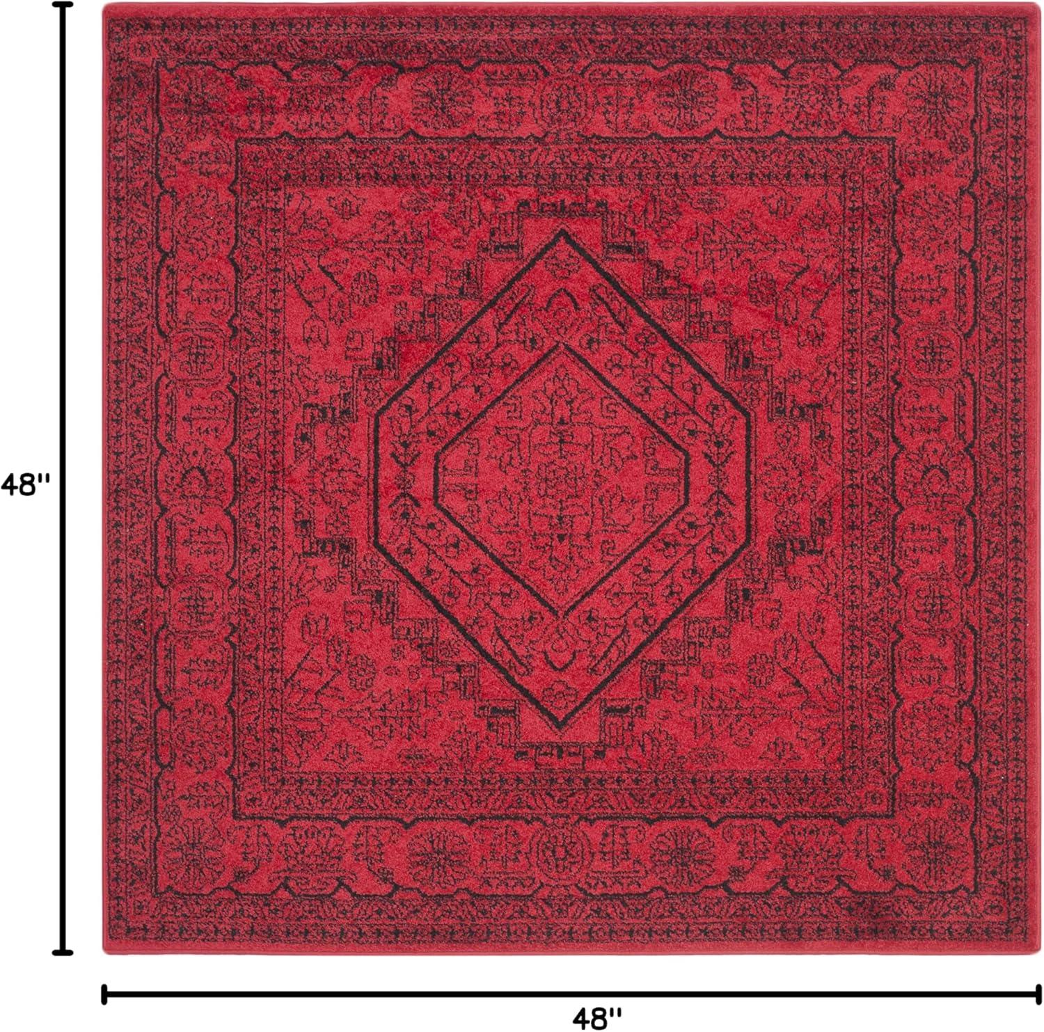 Adirondack ADR108 Area Rug  - Safavieh