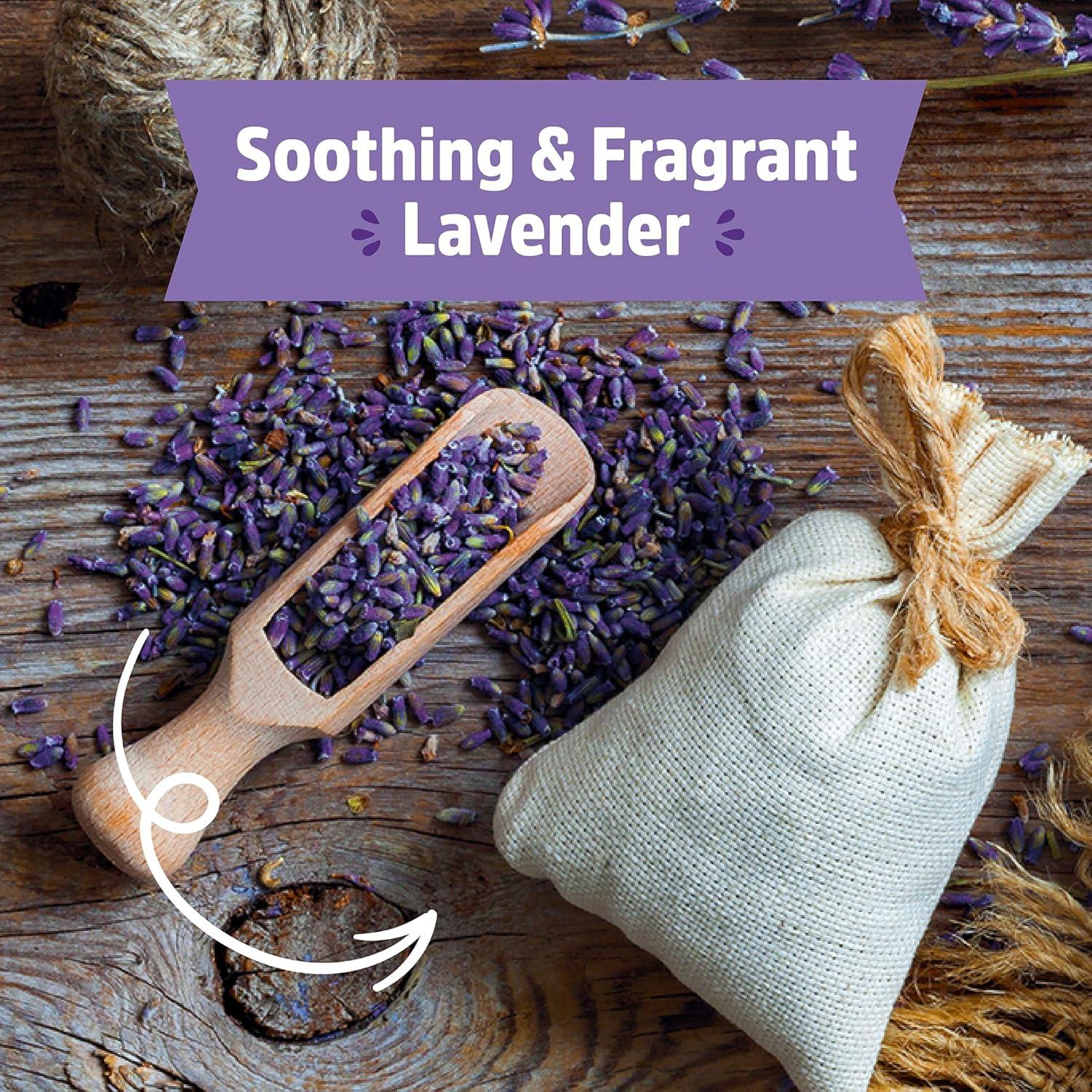Back to the Roots Organic Lavender Grow Kit